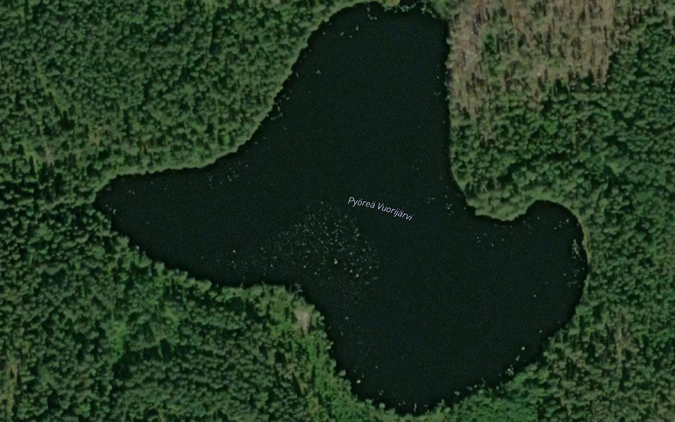 Pyorea Vuorijarvi