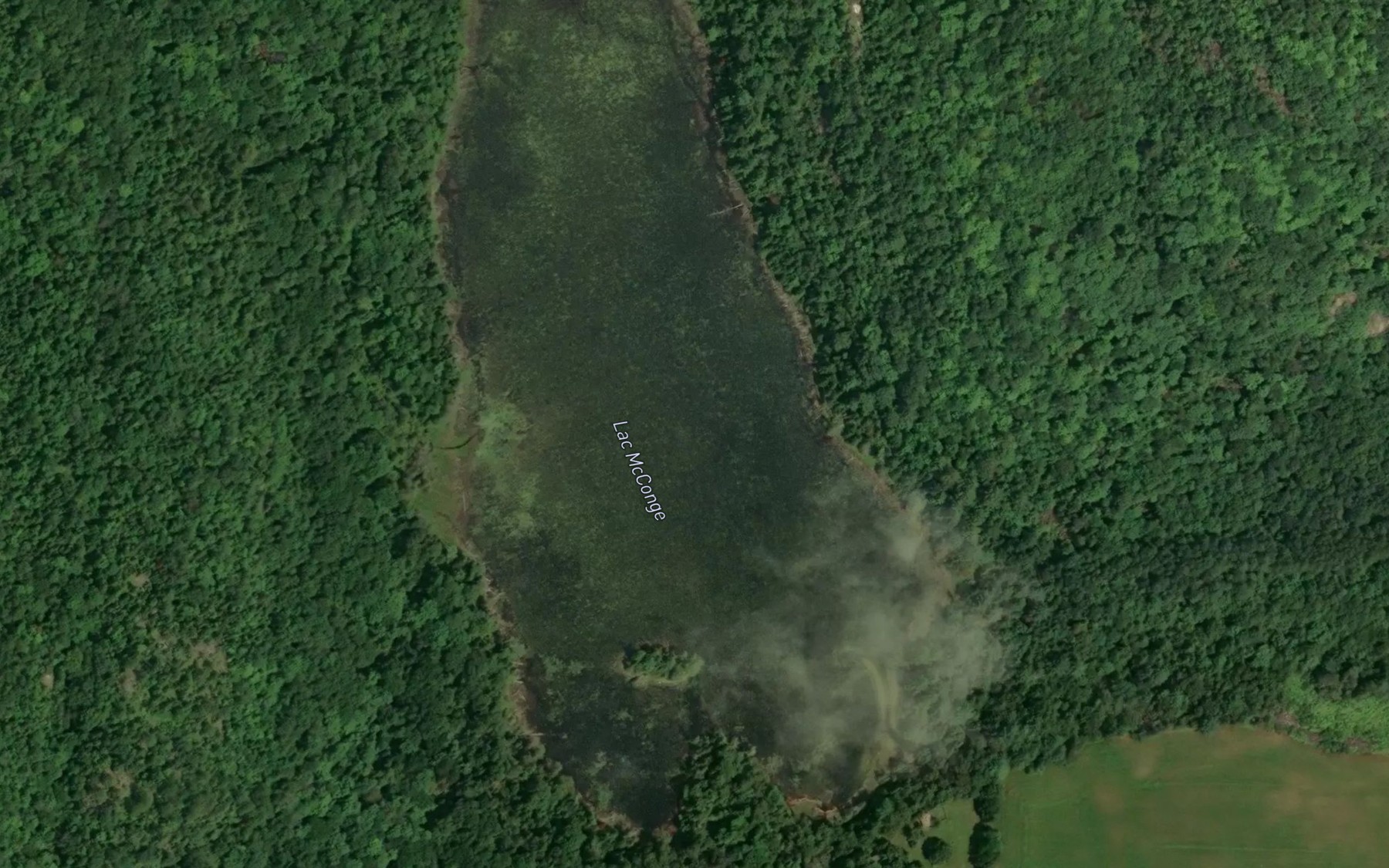 Satellite map of the Lac McConge