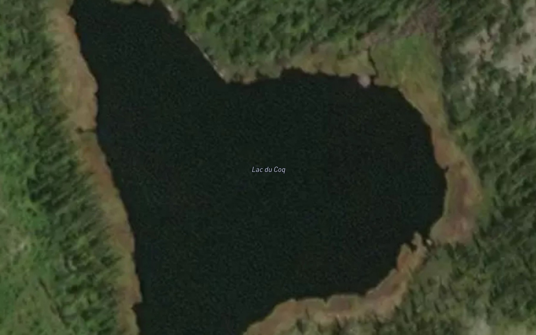 Satellite map of the Lac du Coq