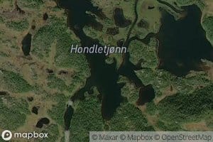 Hondletjonn