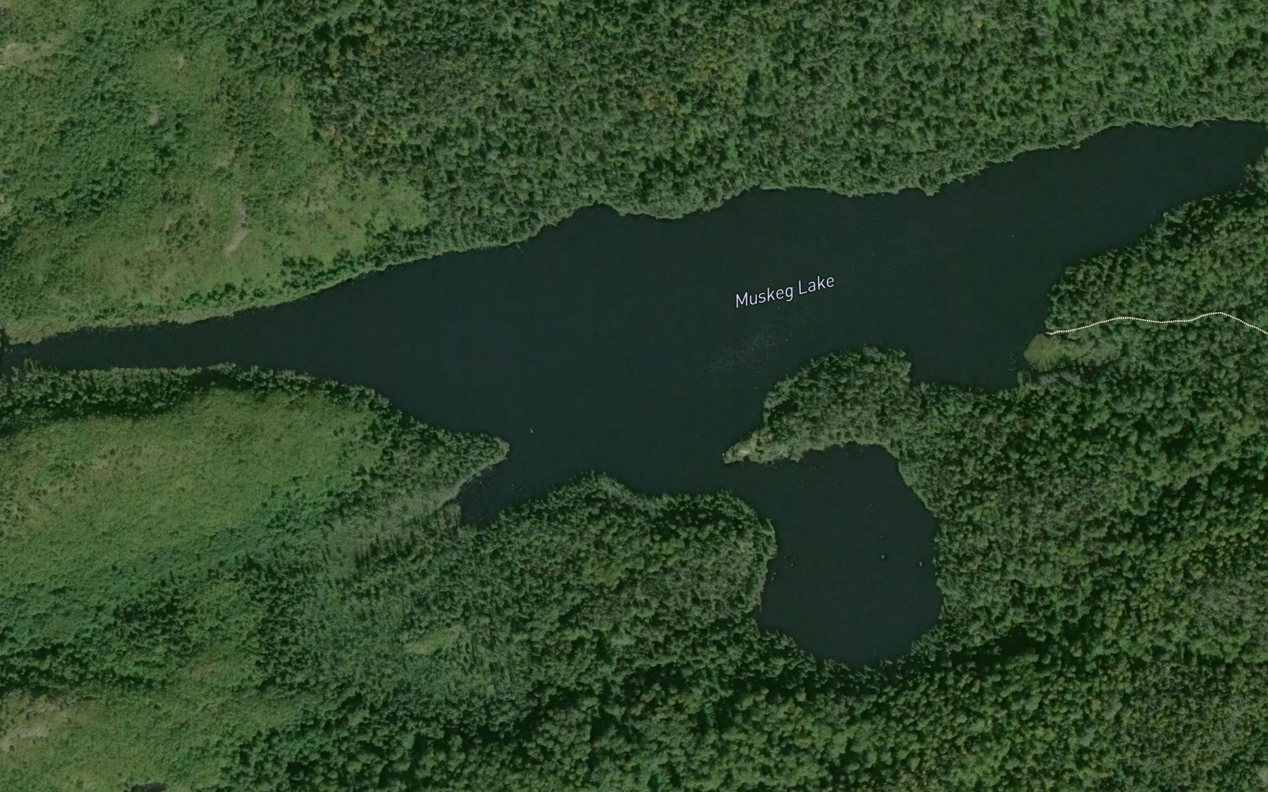 Muskeg Lake
