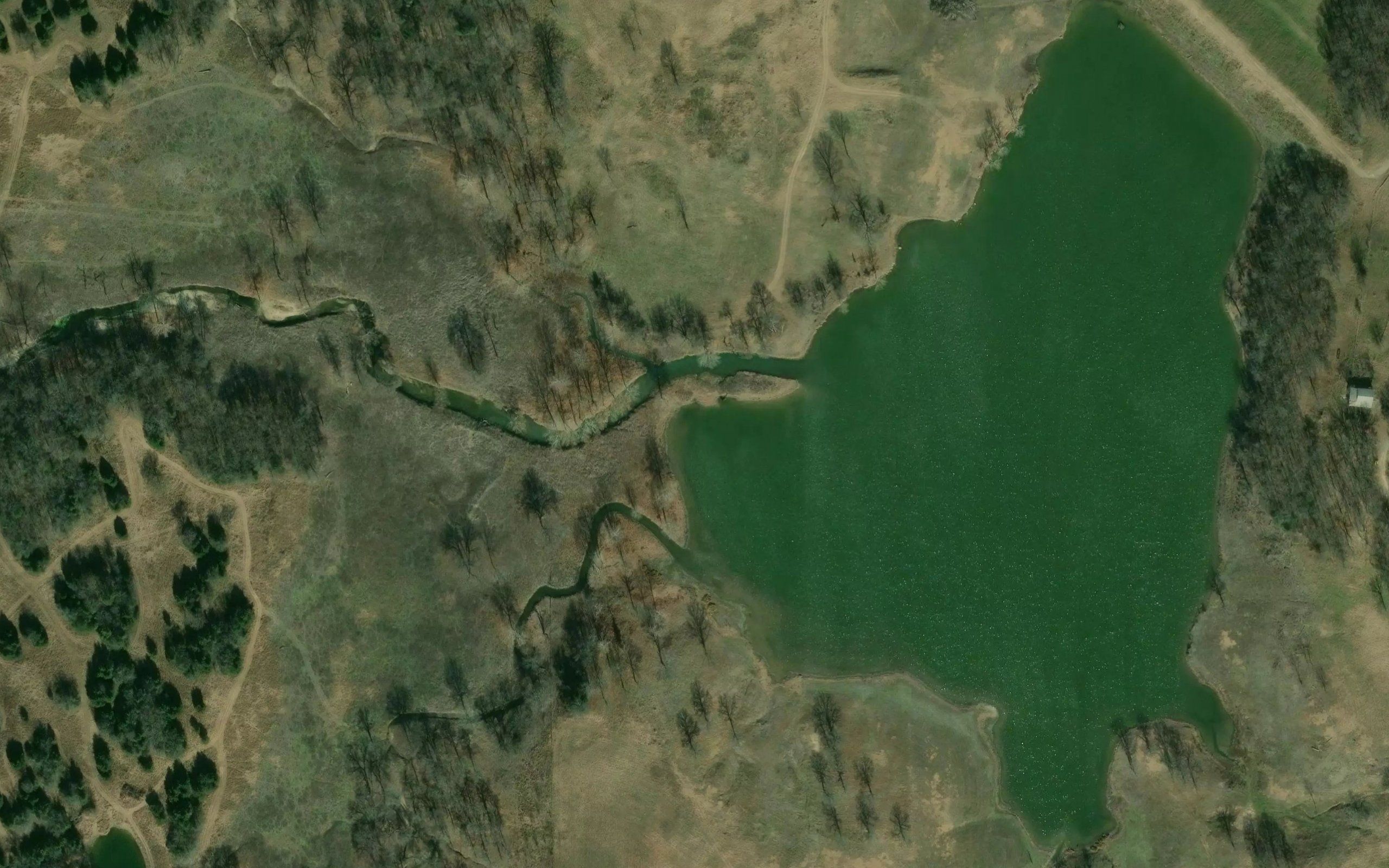 Upper Clear Boggy Creek Site 25 Reservoir