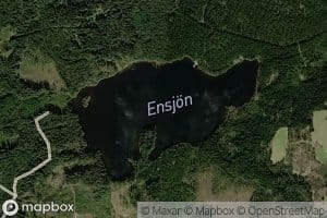 Ensjon