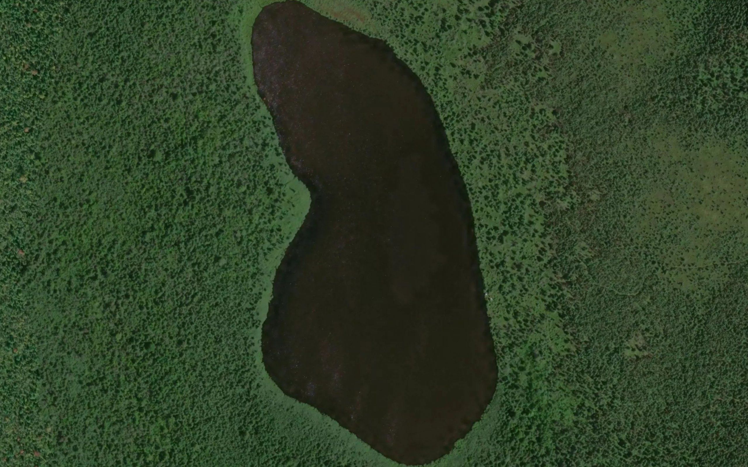 Lissons Lake