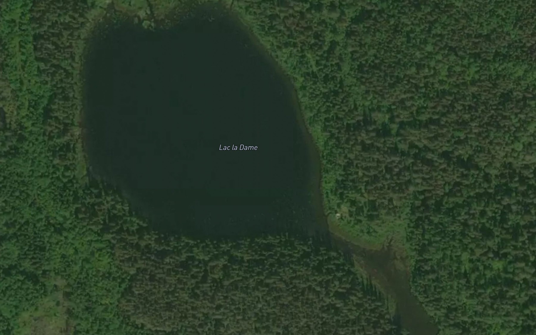 Satellite map of the Lac la Dame