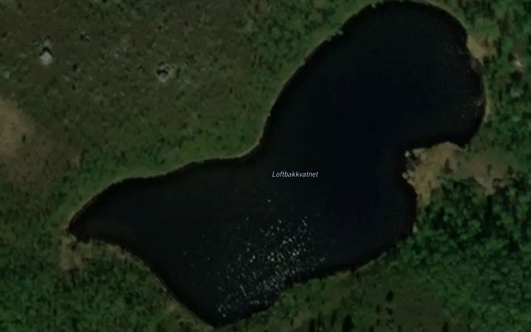 Satellite map of the Loftbakkvatnet