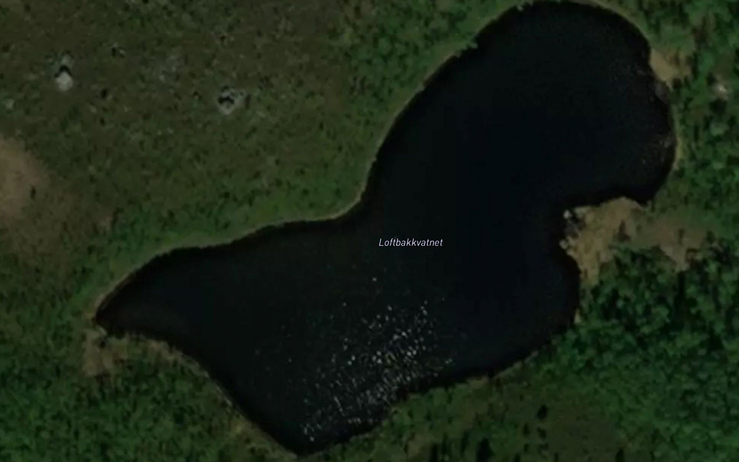 Loftbakkvatnet