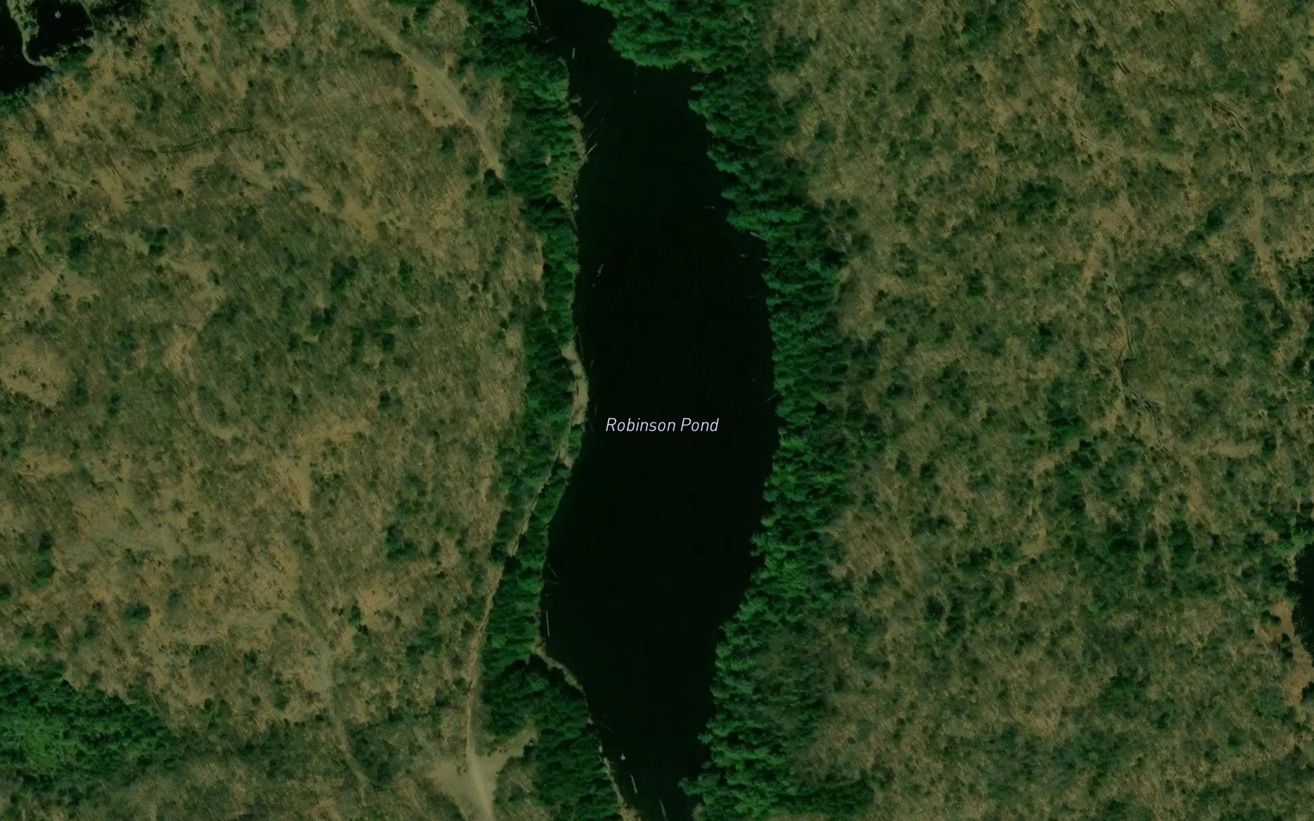 Robinson Pond