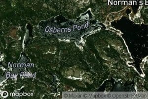 Osberns Pond