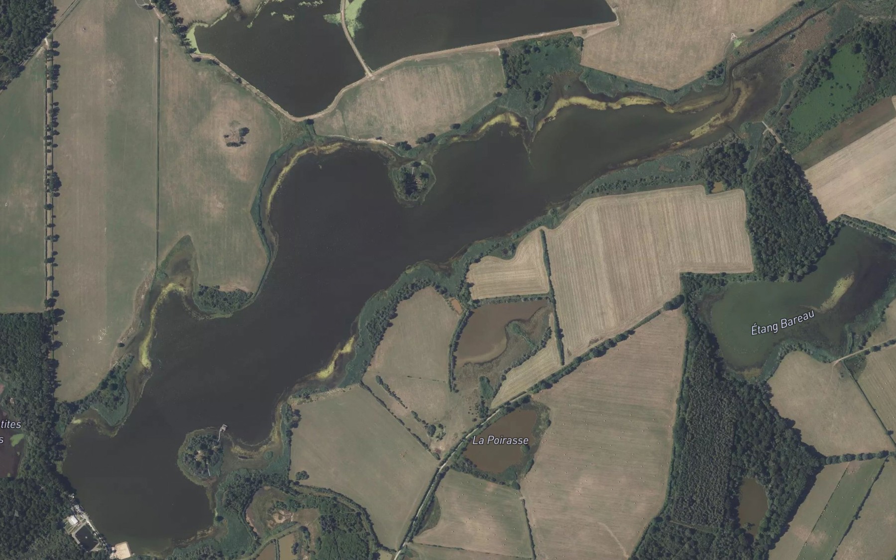 Satellite map of the Etang des Grandes Fourdines