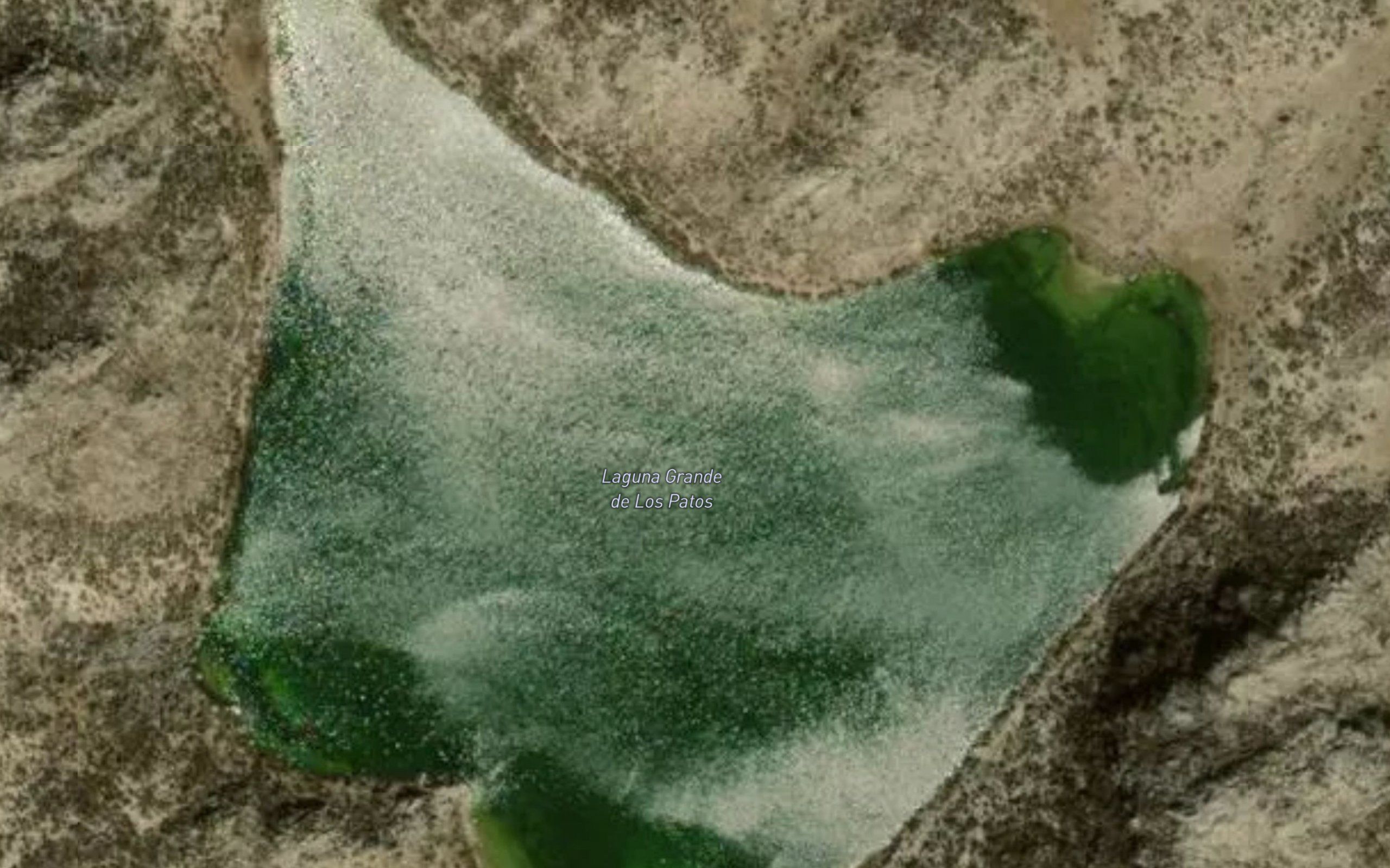 Laguna Grande de Los Patos
