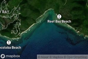 Reef Bay