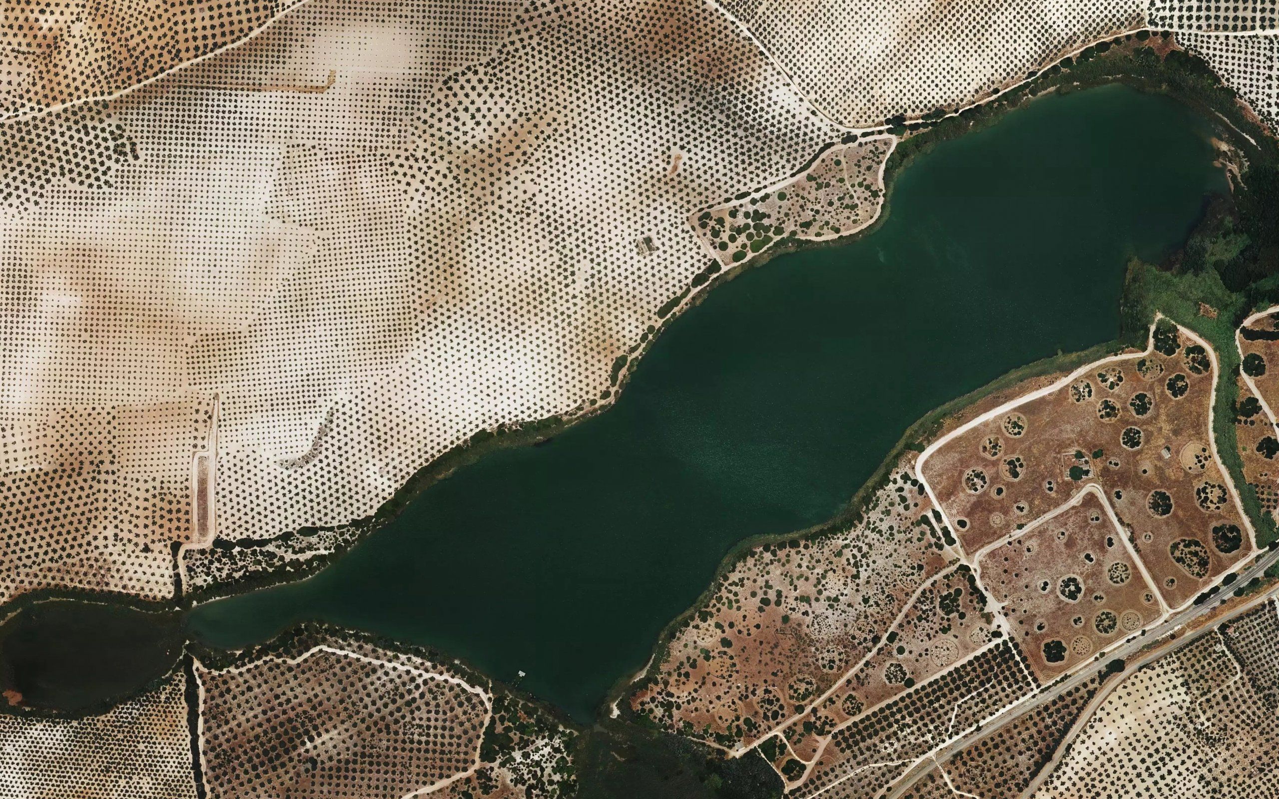 Laguna de Zonar