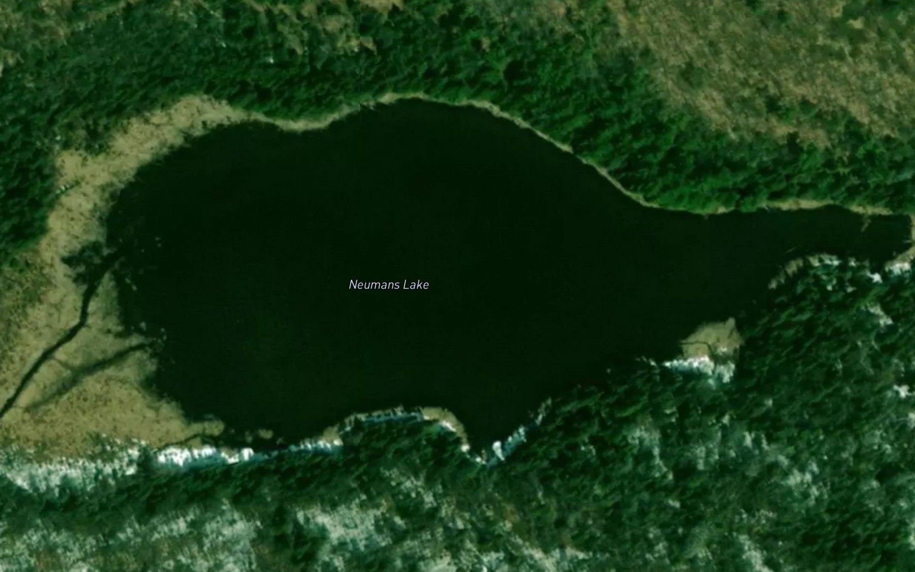 Satellite map of the Neumans Lake