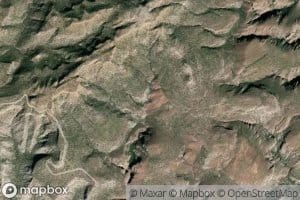 Canada Palos Amarillos