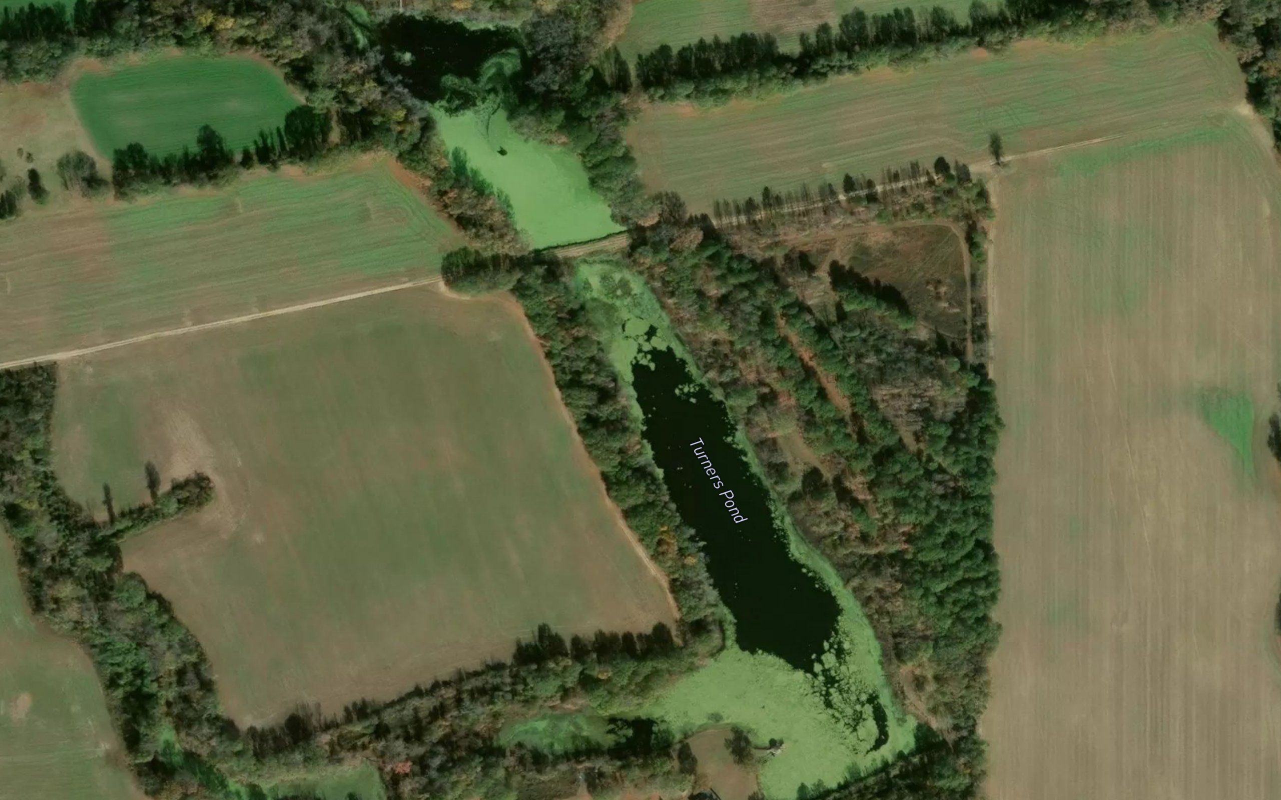 Turners Pond