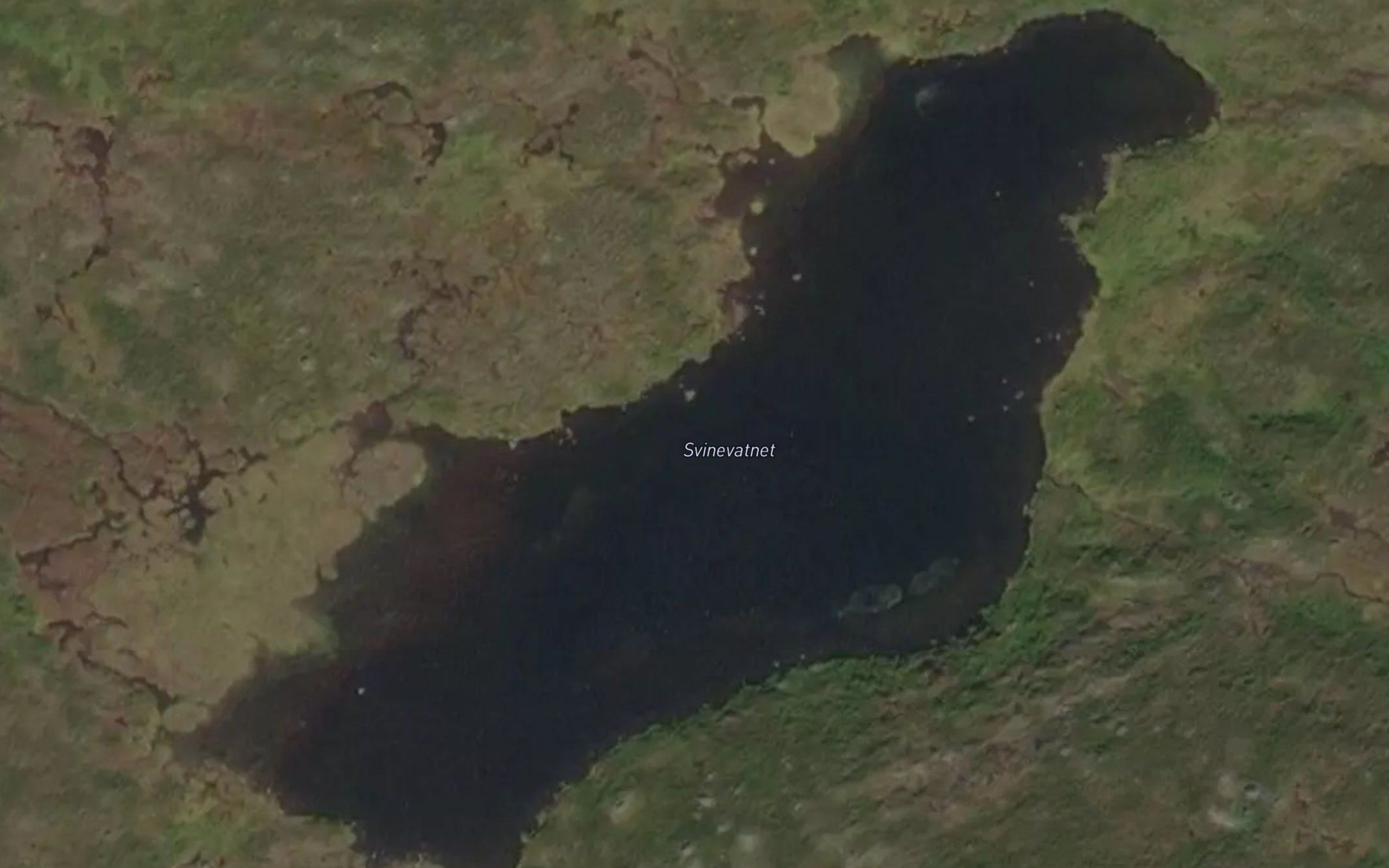 Svinevatnet