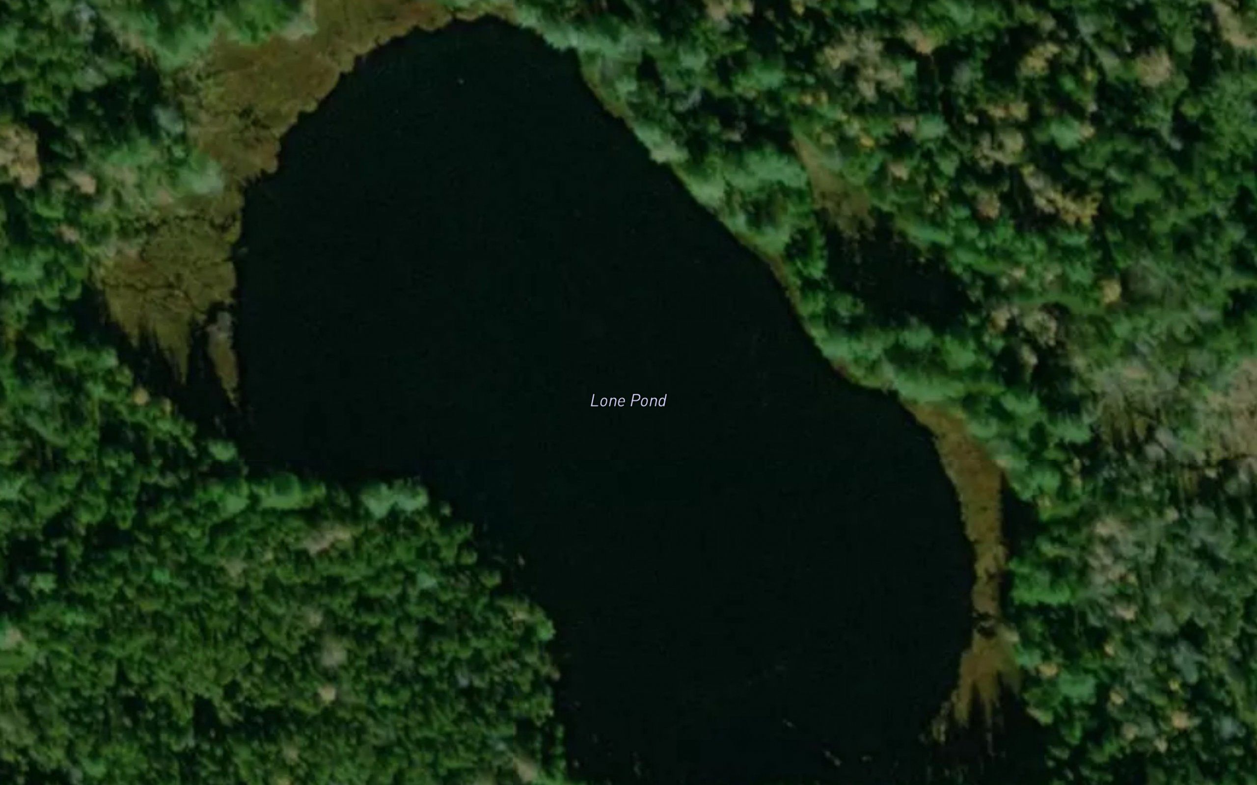 Lone Pond