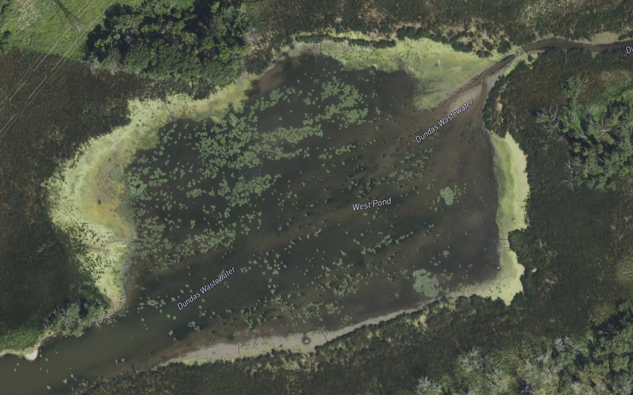 West Pond