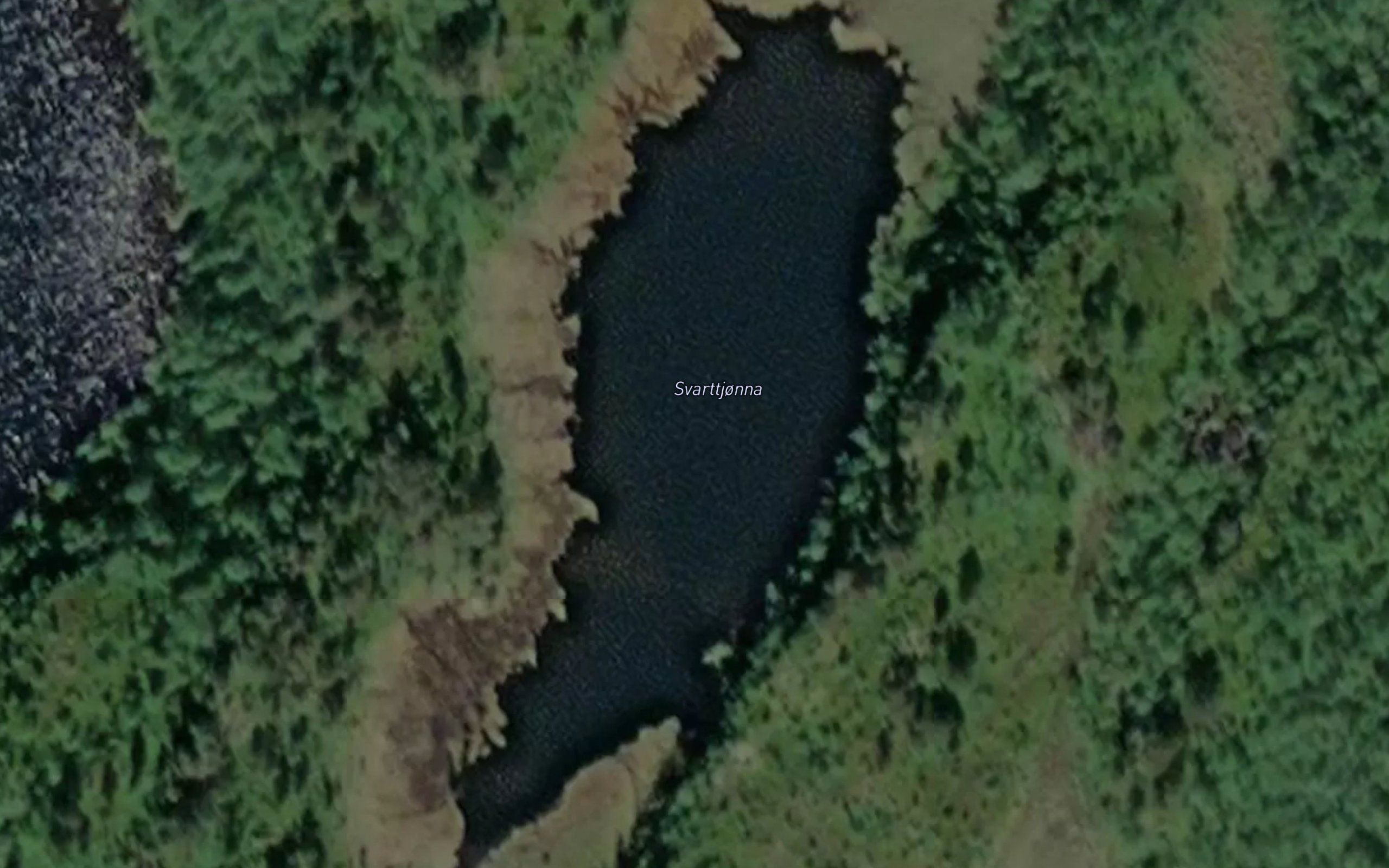 Svarttjonna