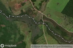 Arroyo Corrientes-mi