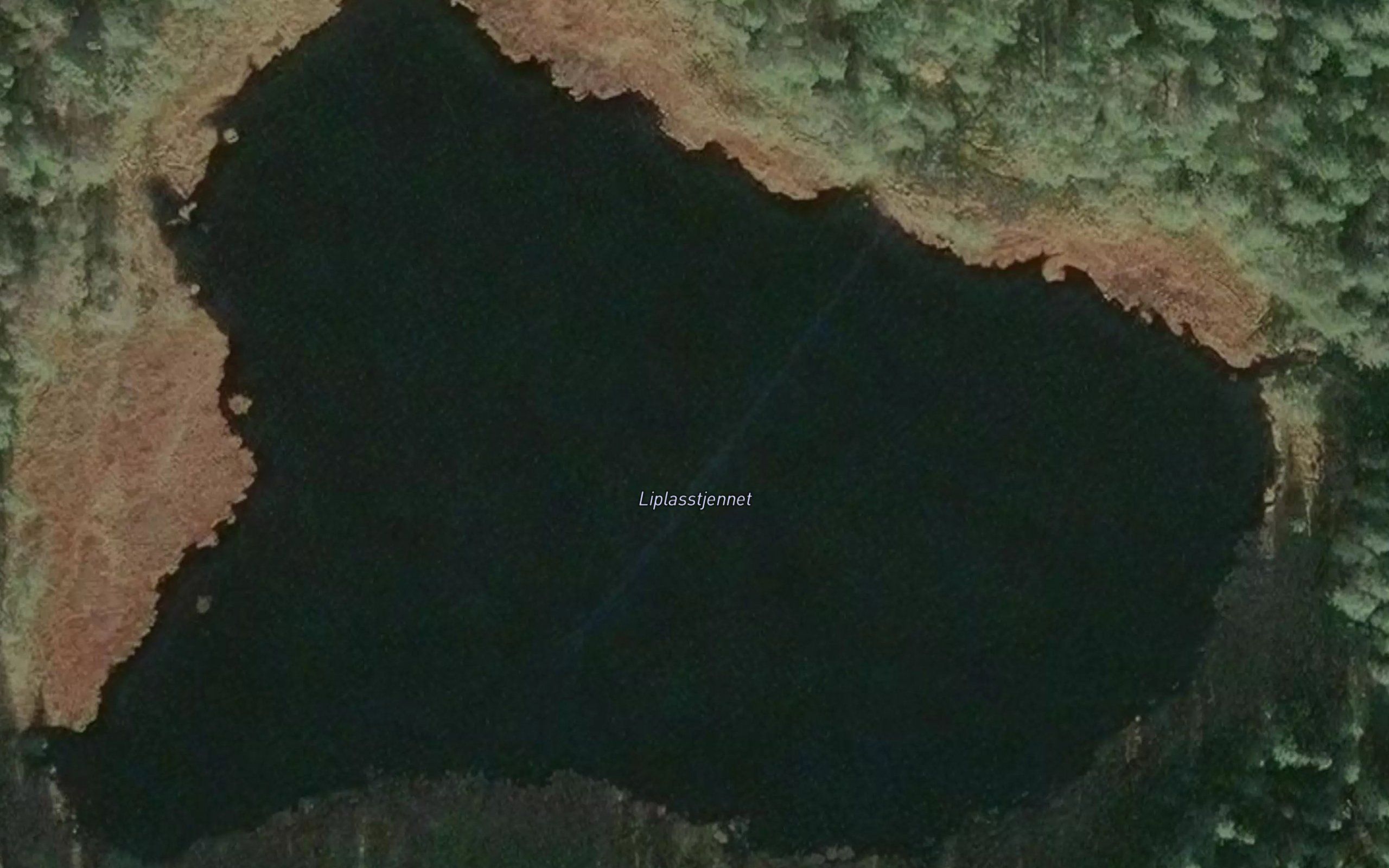 Liplasstjern