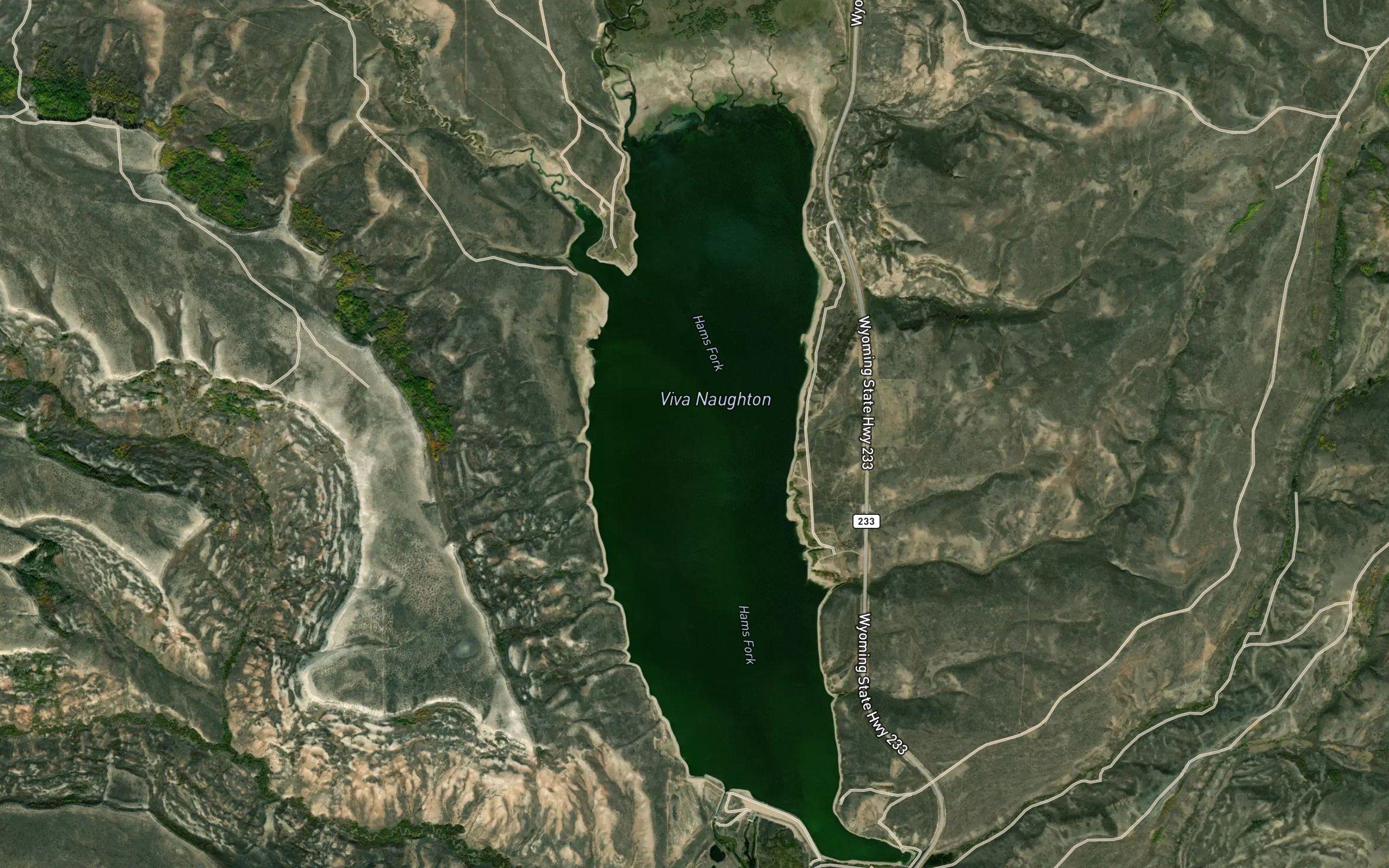 Lake Viva Naughton