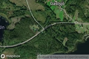 Gastsjon
