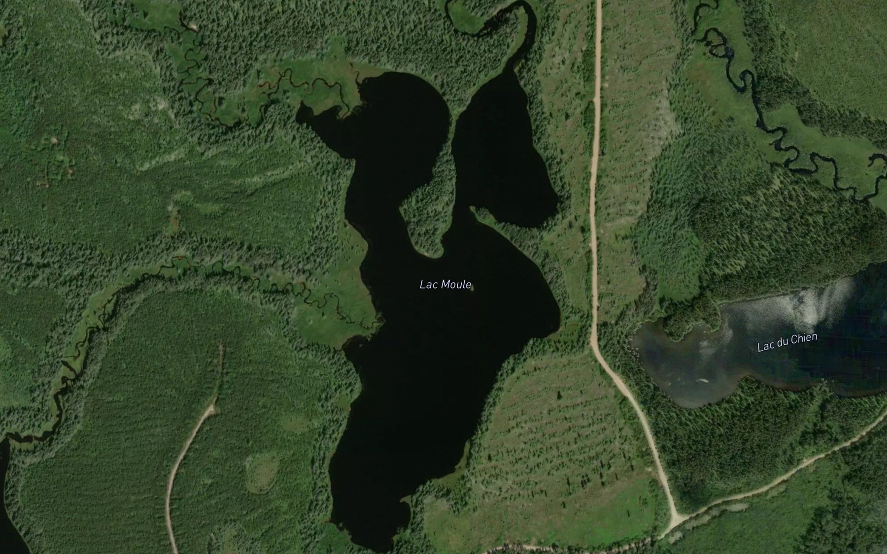 Satellite map of the Lac Moule