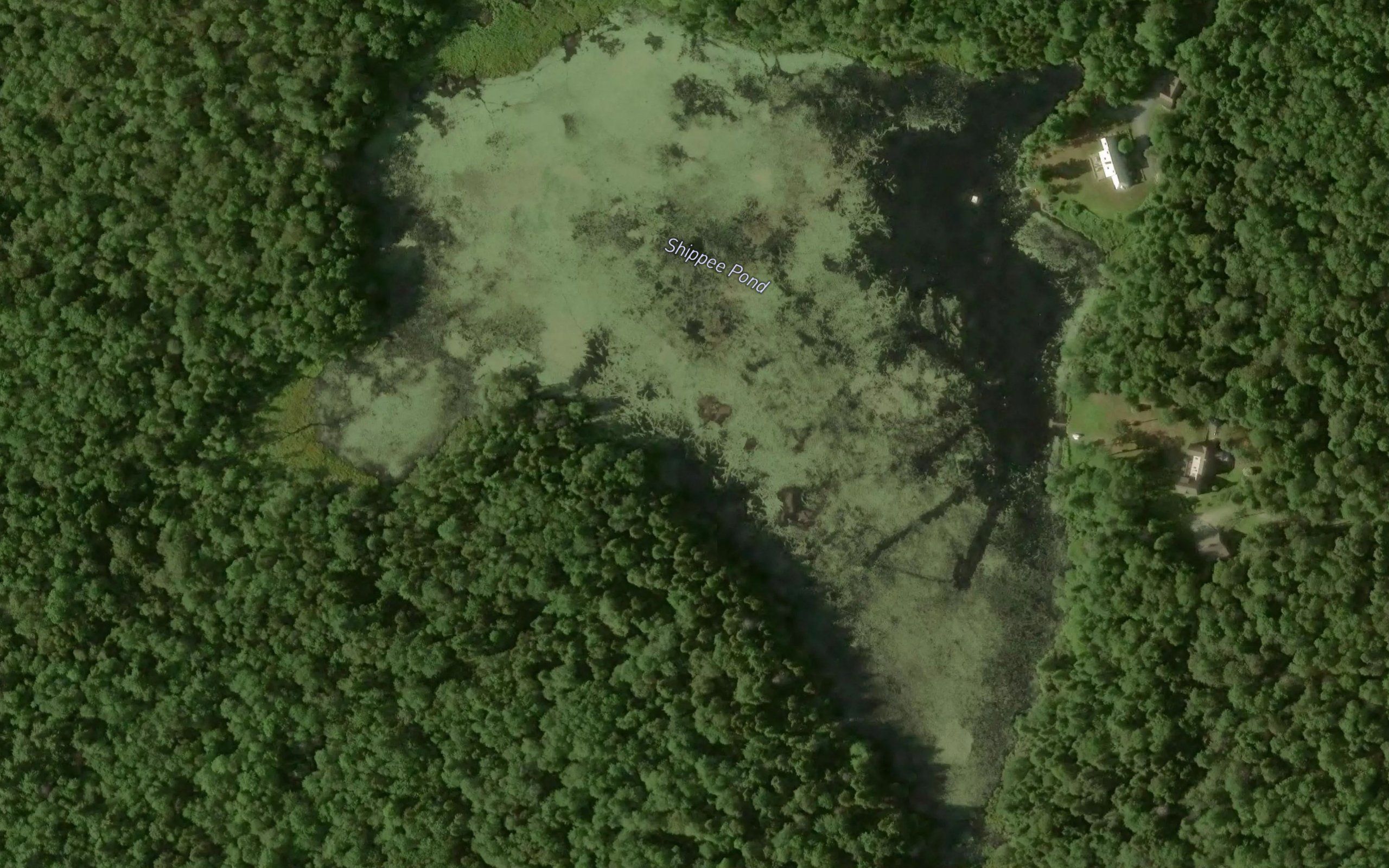 Shippee Pond