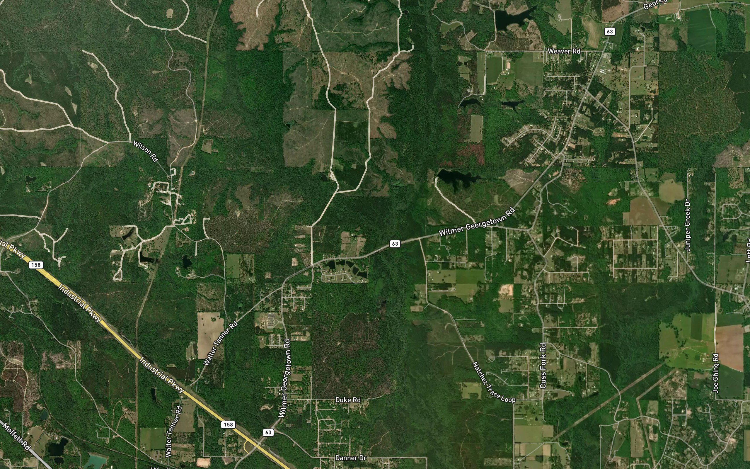 Jackson Branch