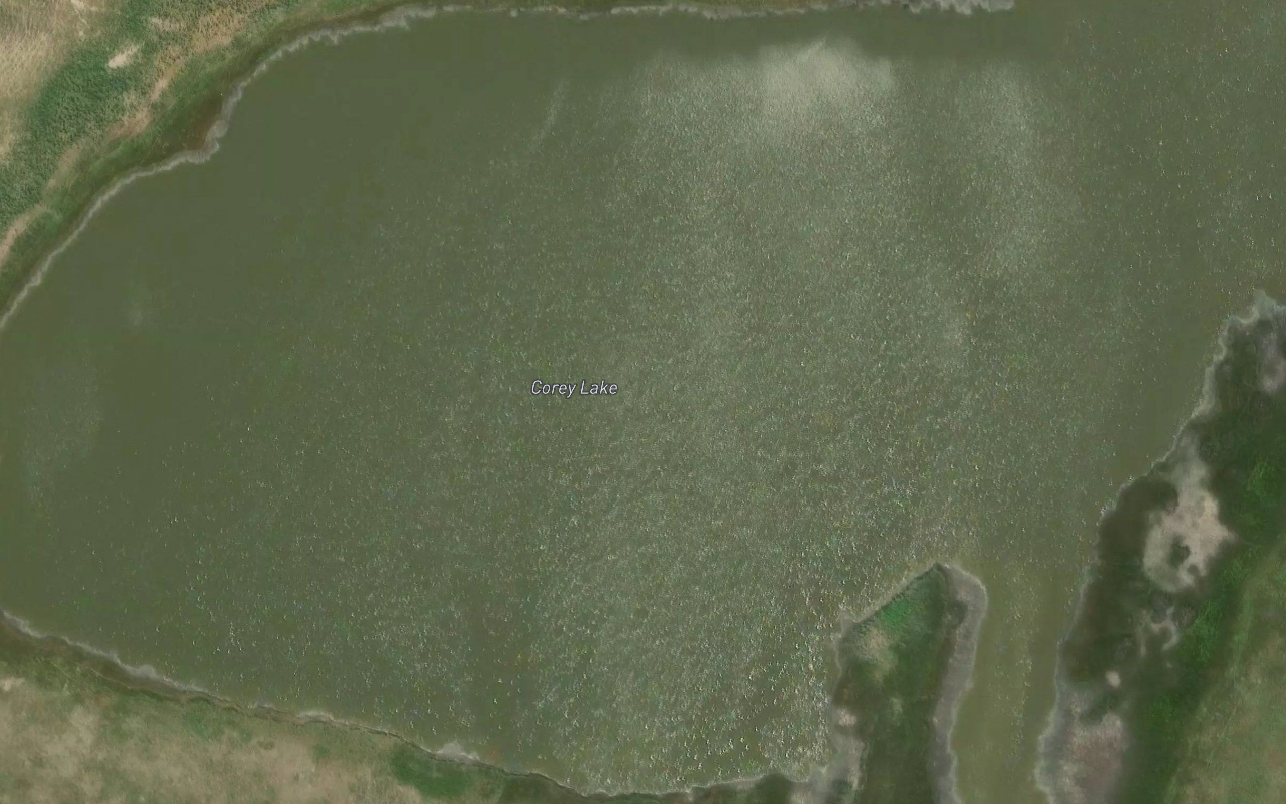 Carey Lake