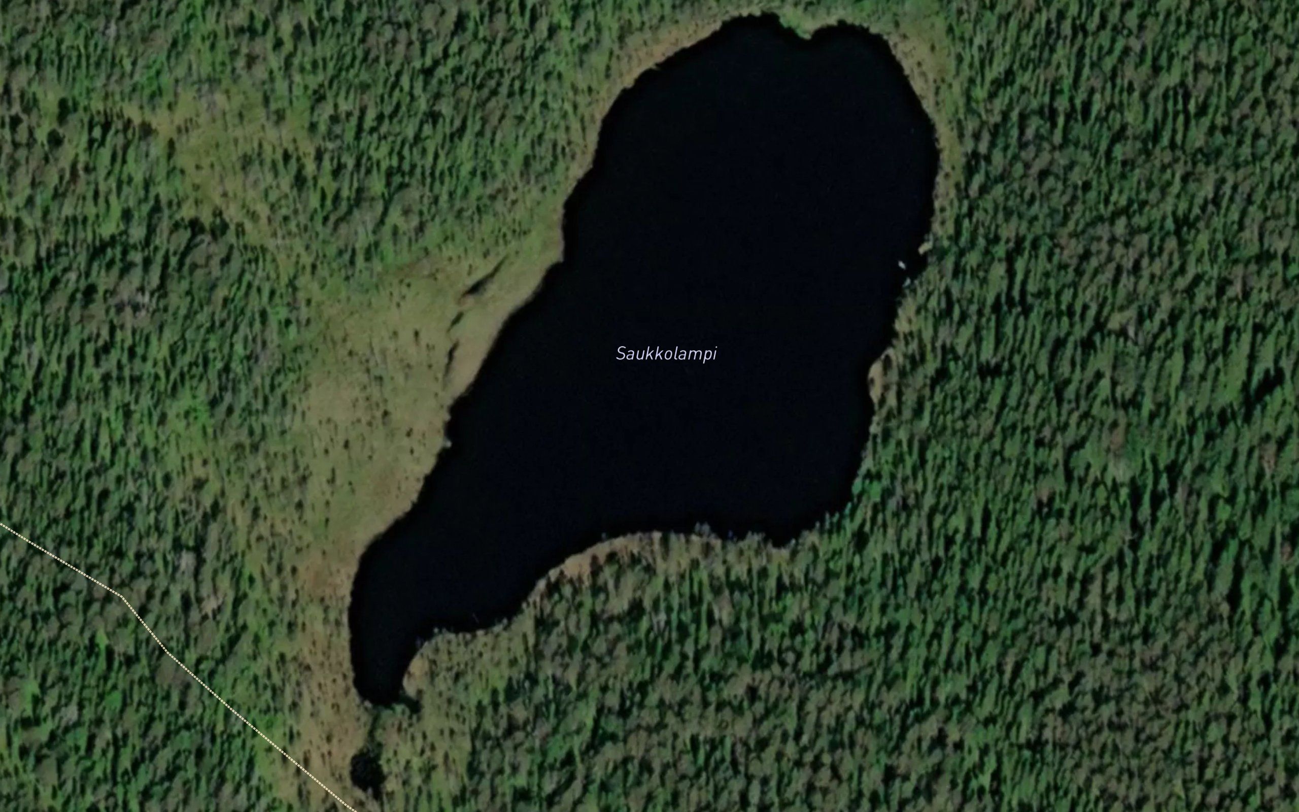 Saukkolampi