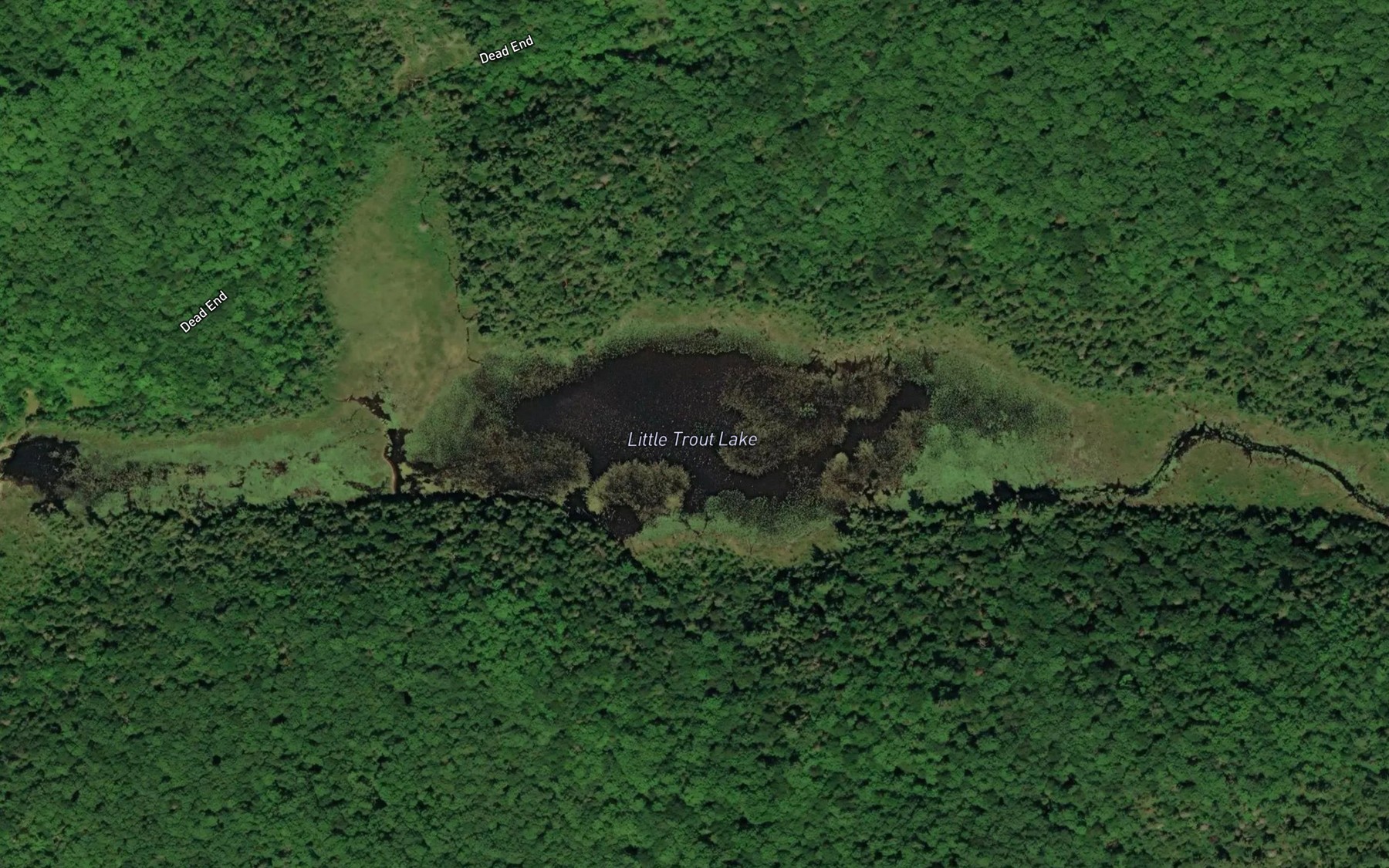 Satellite map of the Little Trout Lake