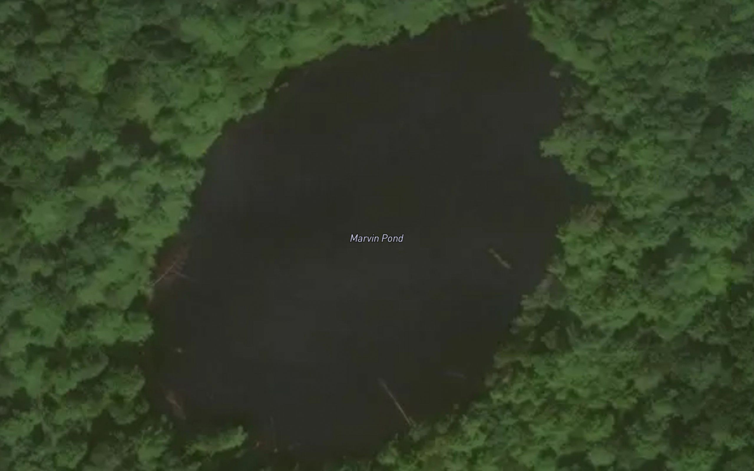 Marvin Pond
