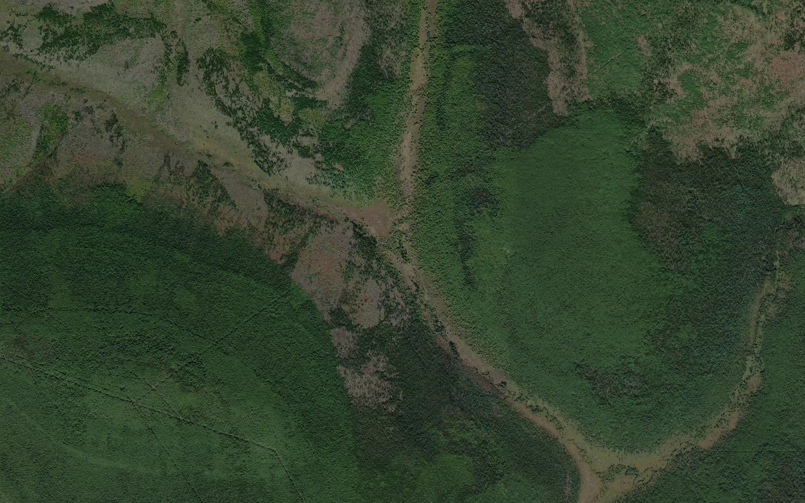 Levaya Marikhta