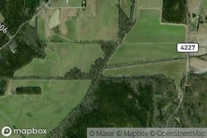 Little Sharkey Creek