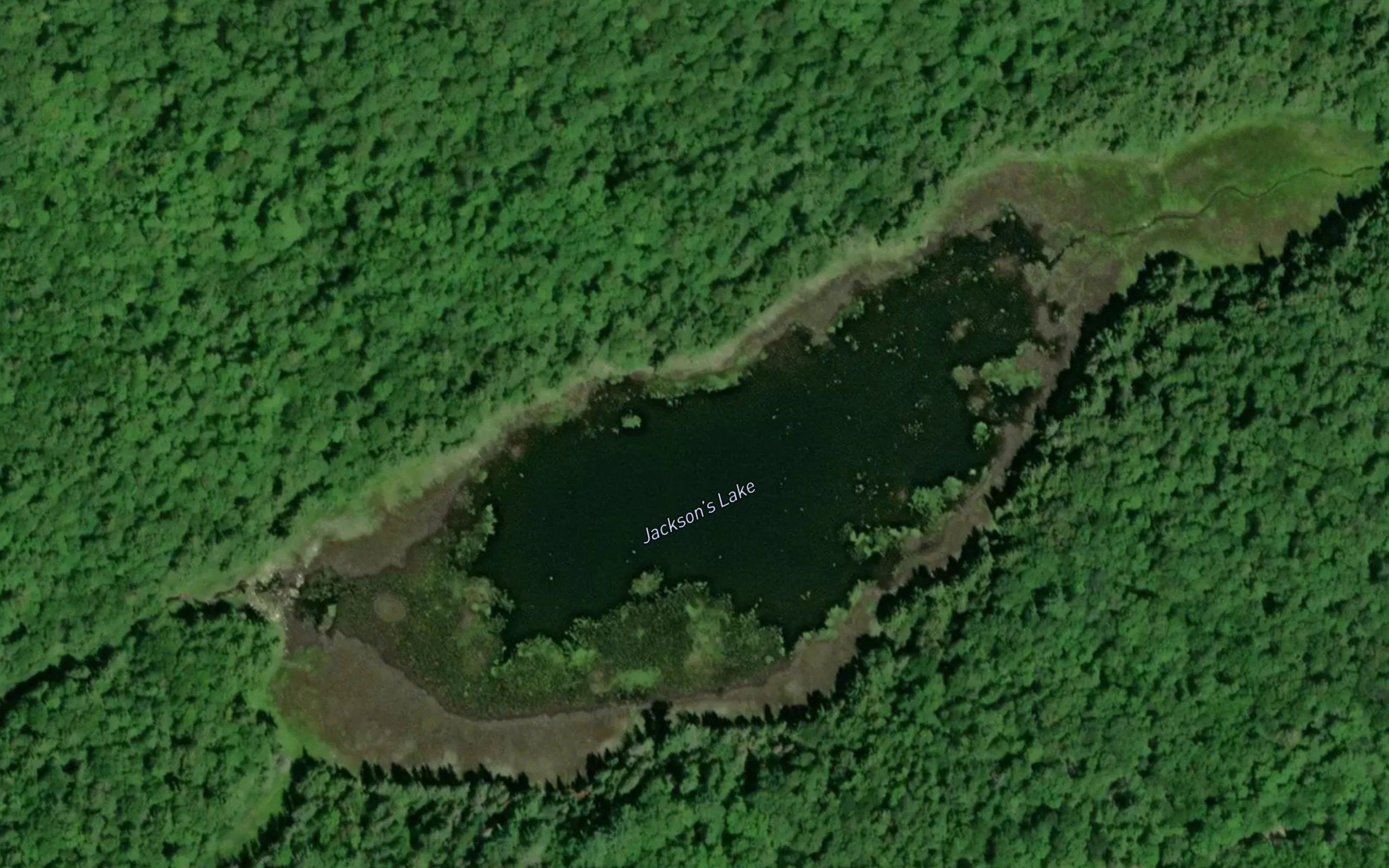 Jackson's Lake