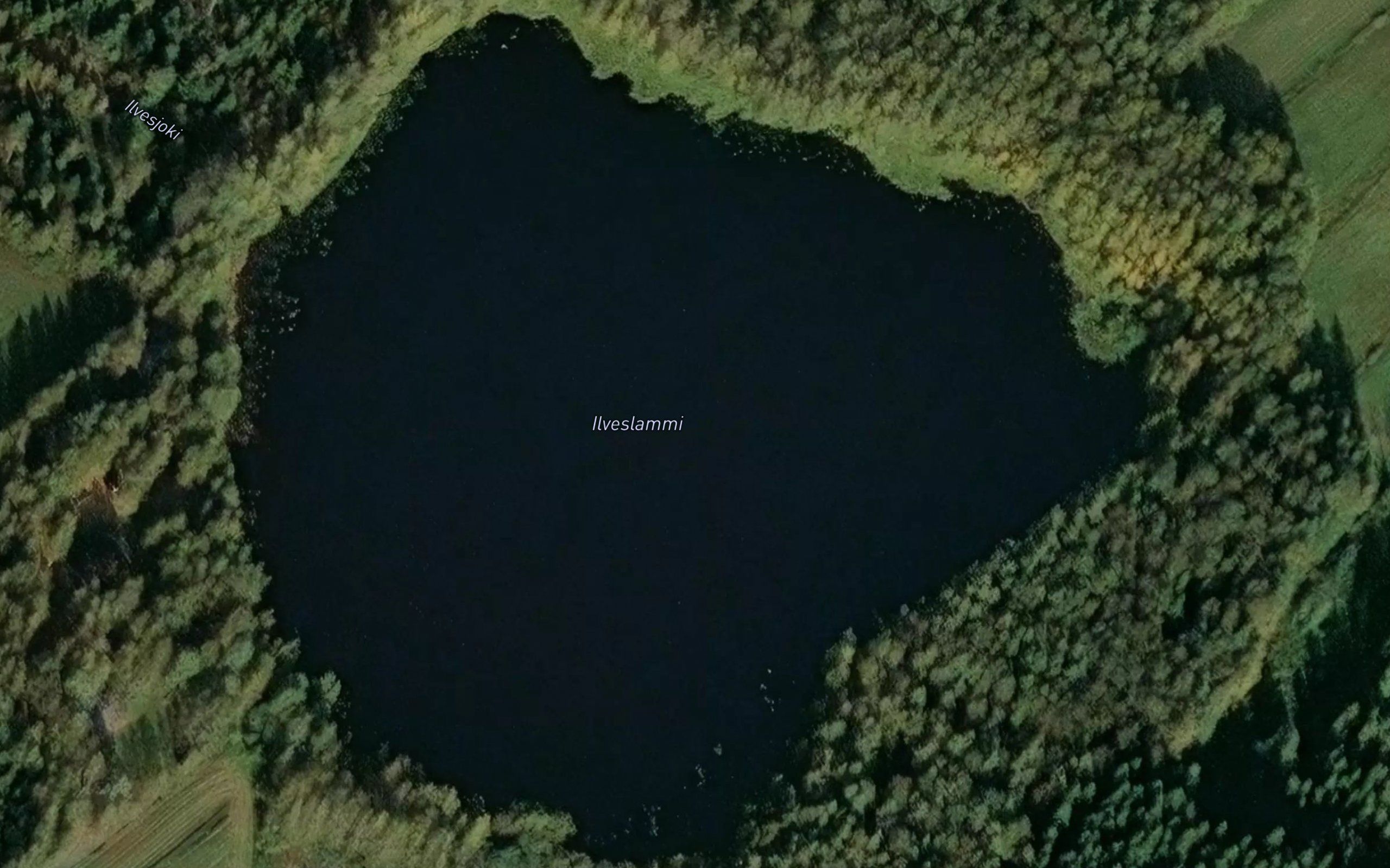 Ilveslammi