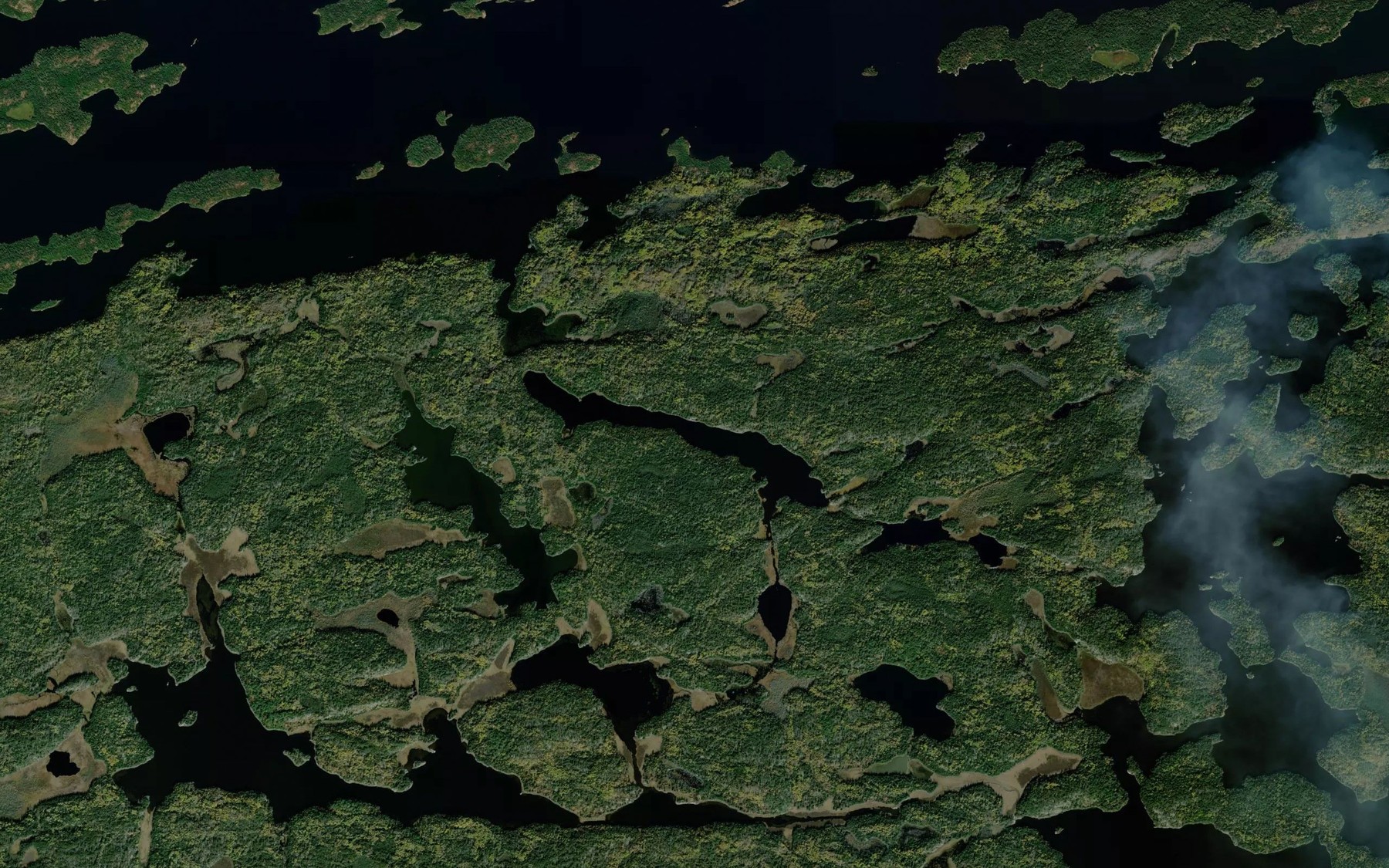 Satellite map of the Cuss Lake