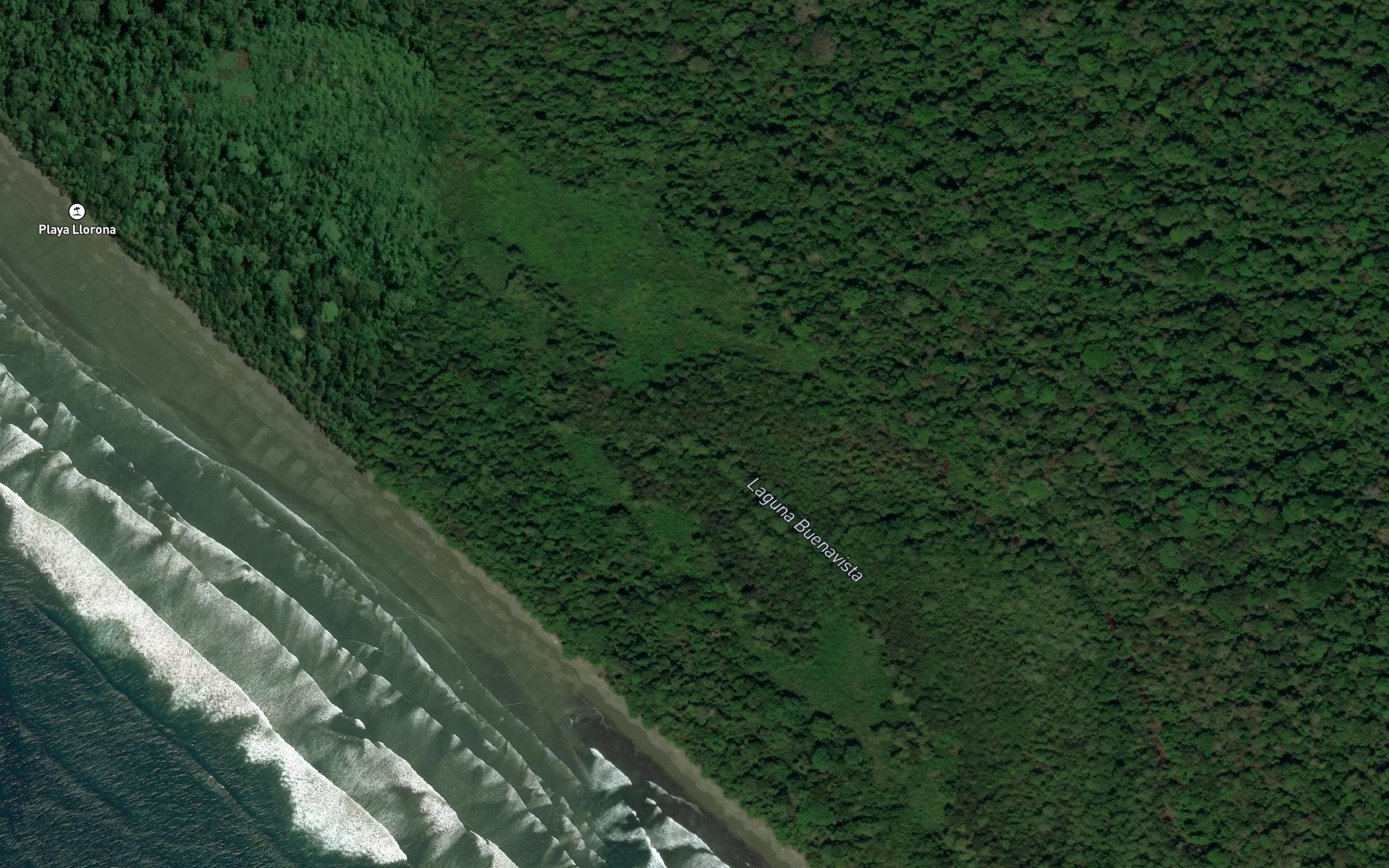 Laguna Buenavista