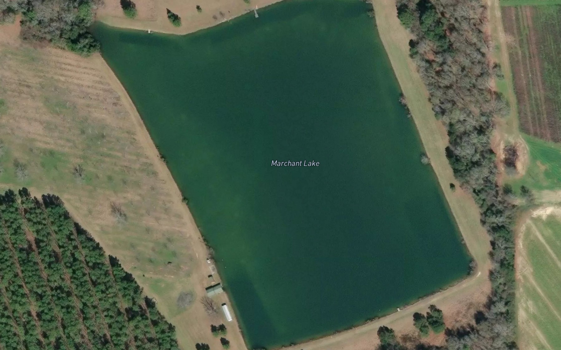 Satellite map of the Marchant Lake