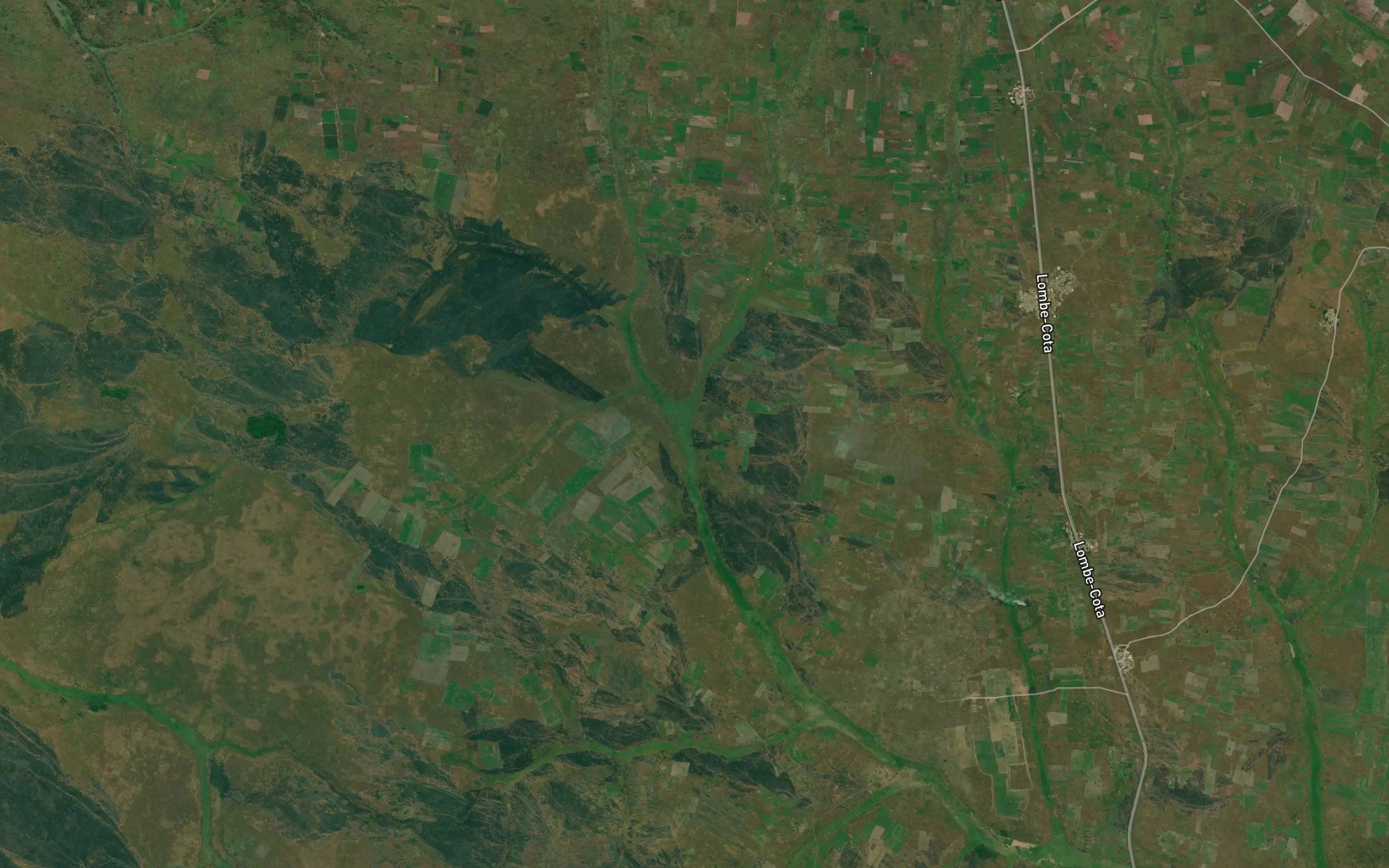 Nguimbo