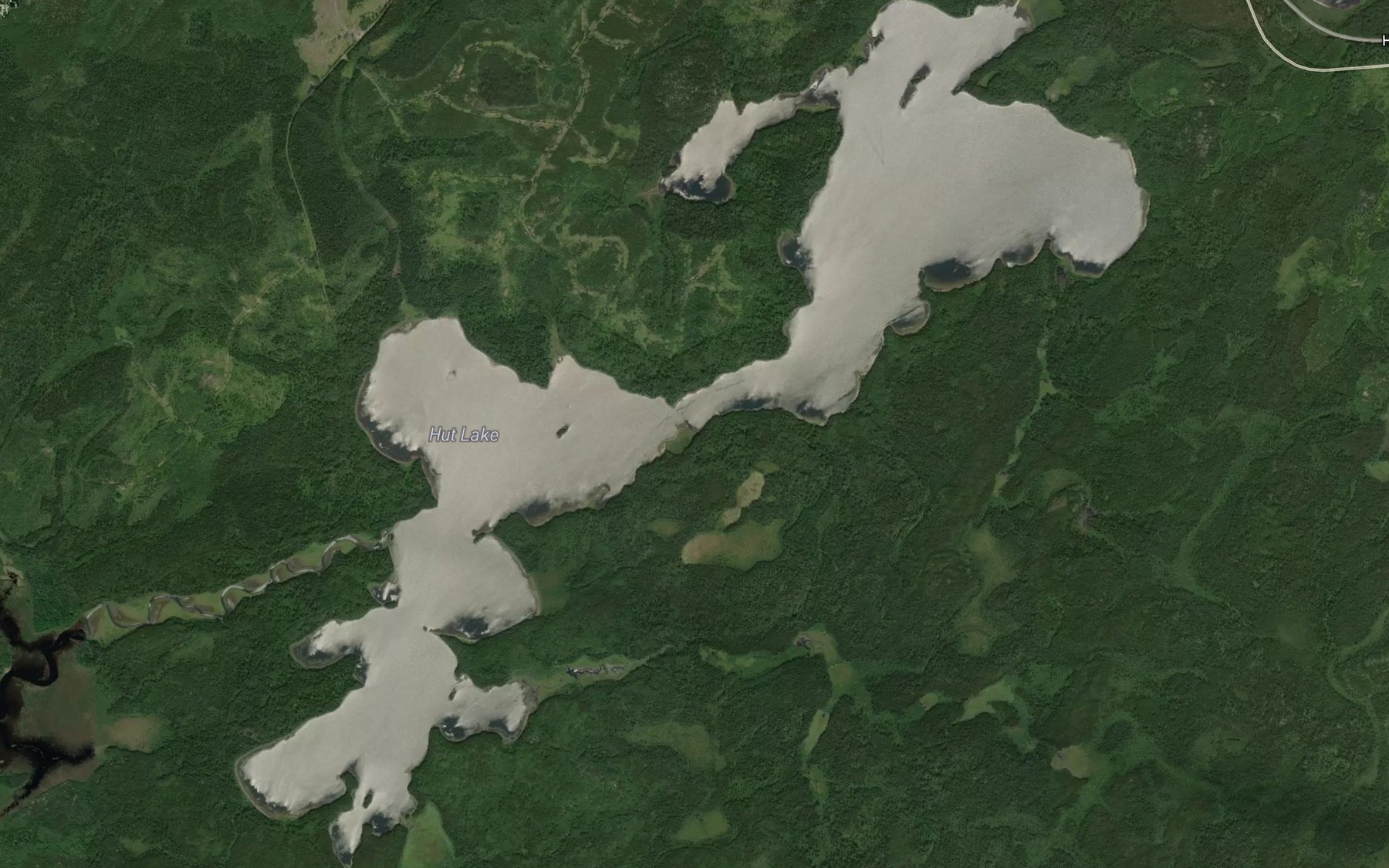 Satellite map of the Hut Lake
