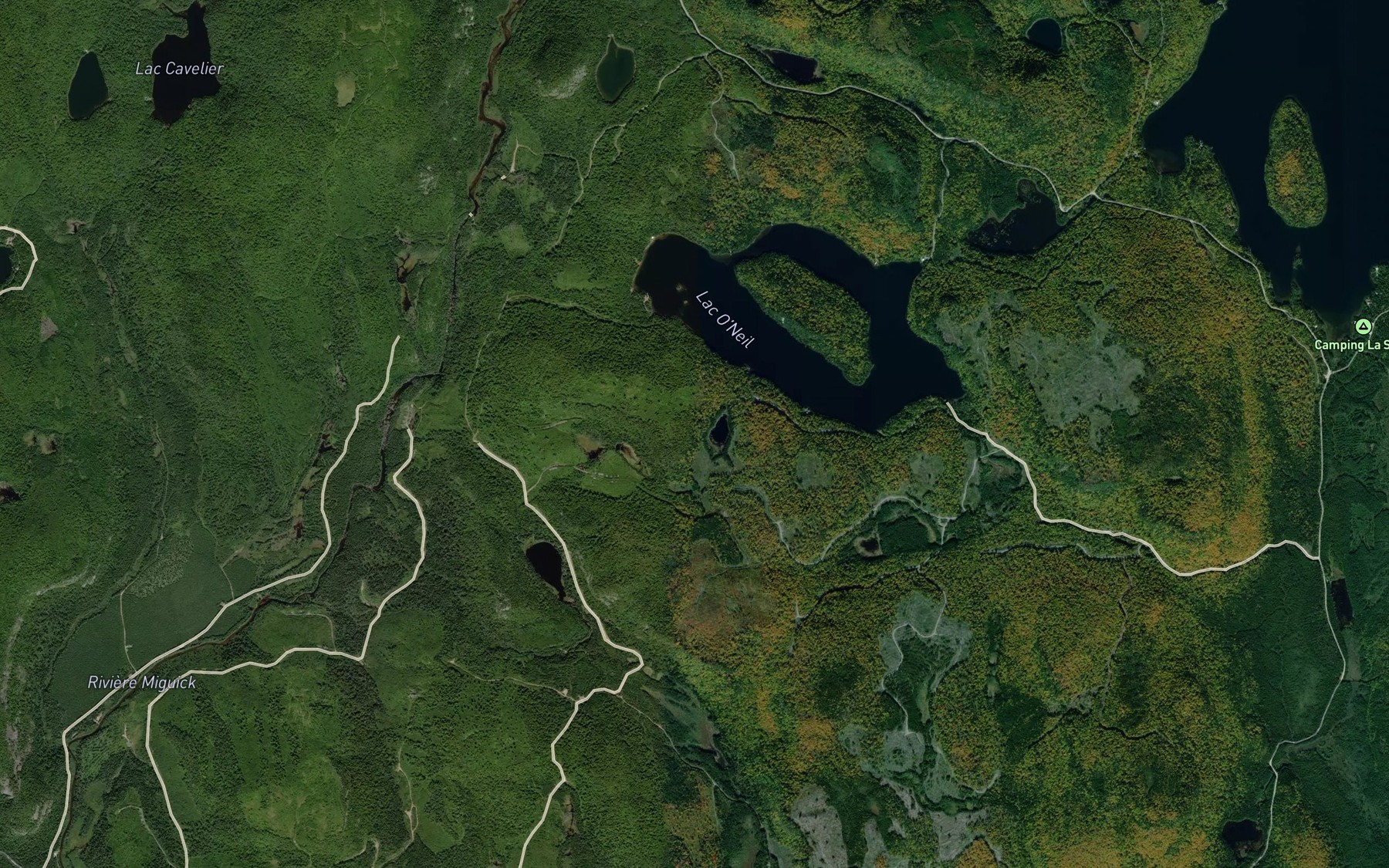 Satellite map of the Lac Rose