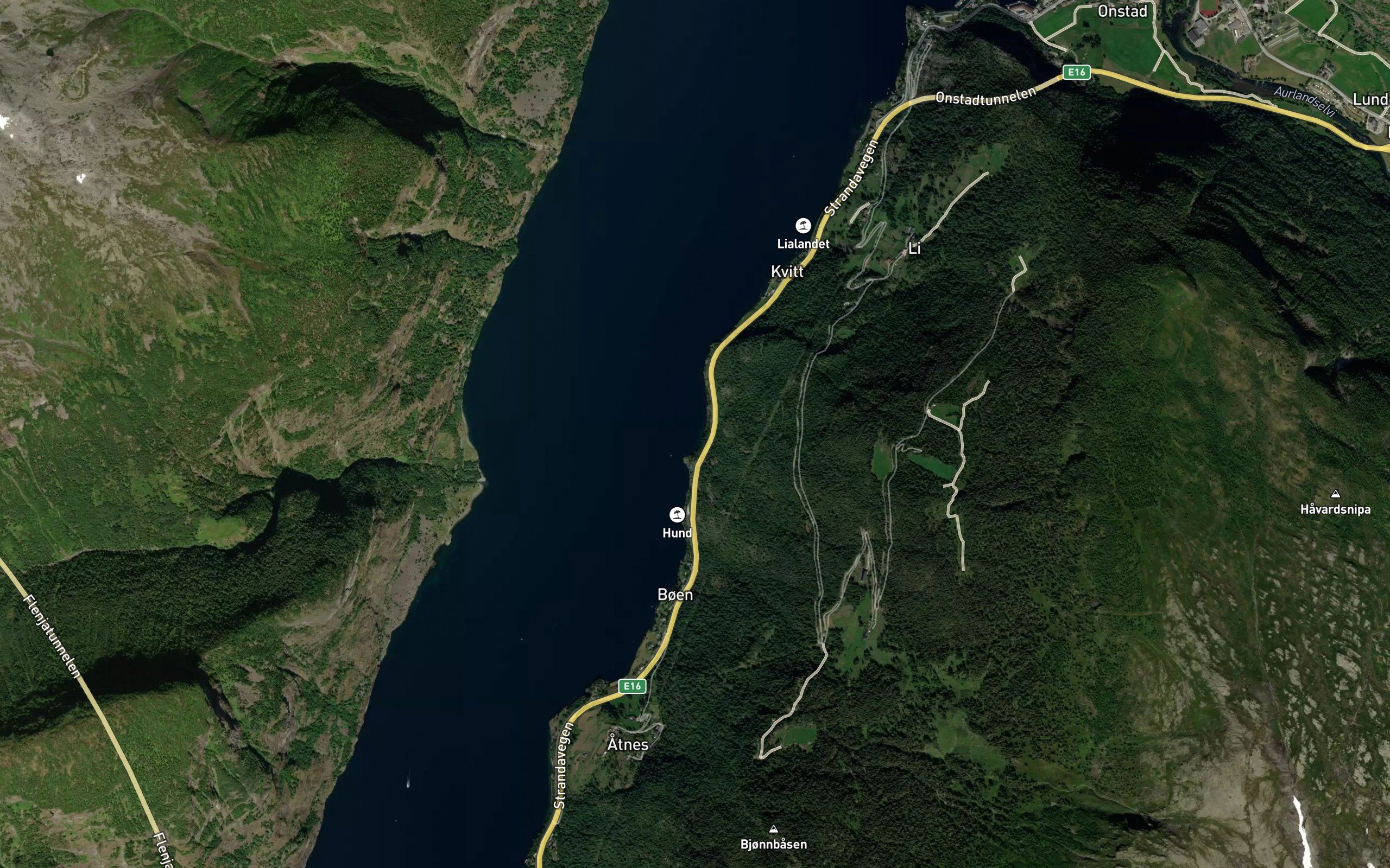 Nautaviki