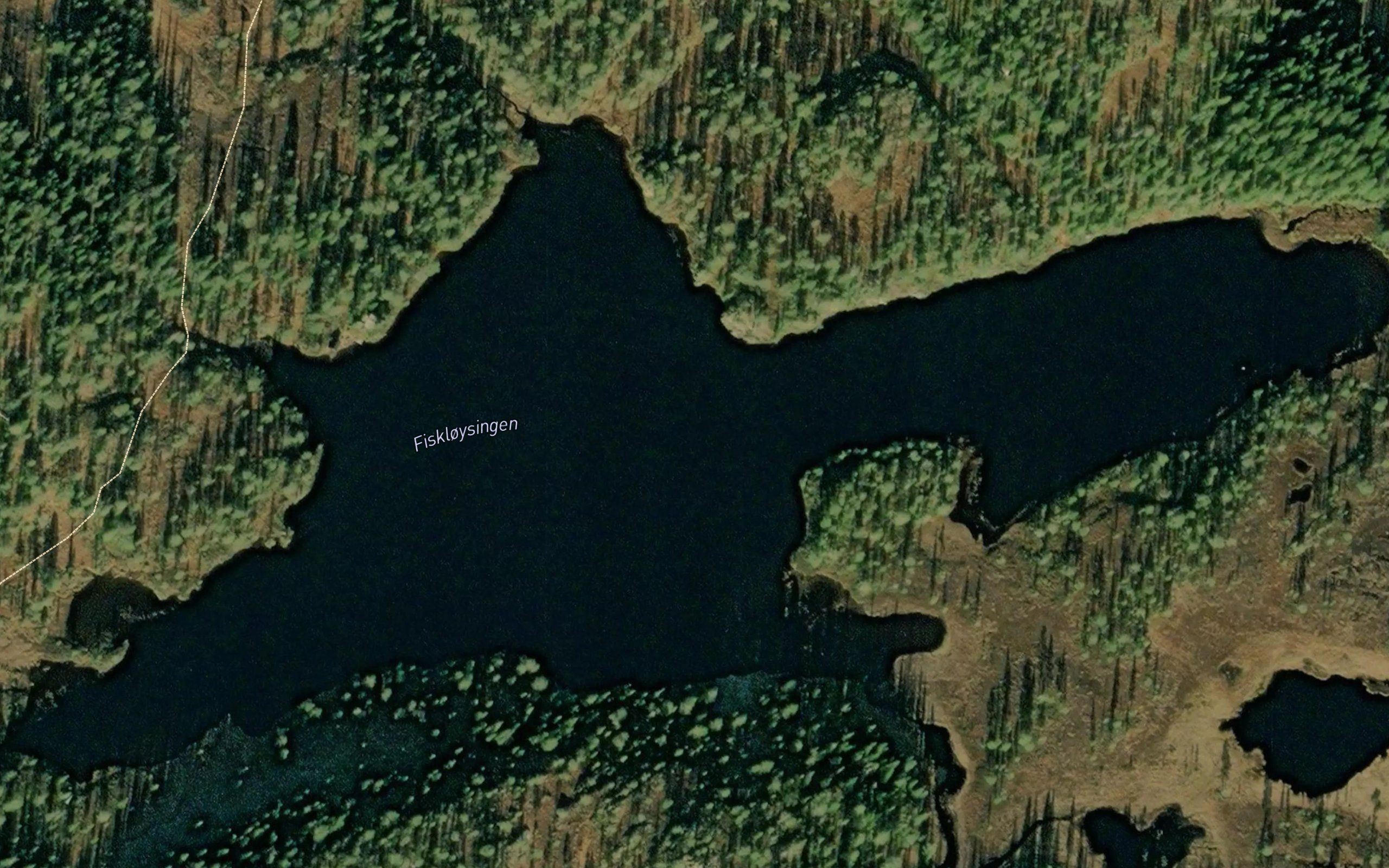 Fiskloysingen