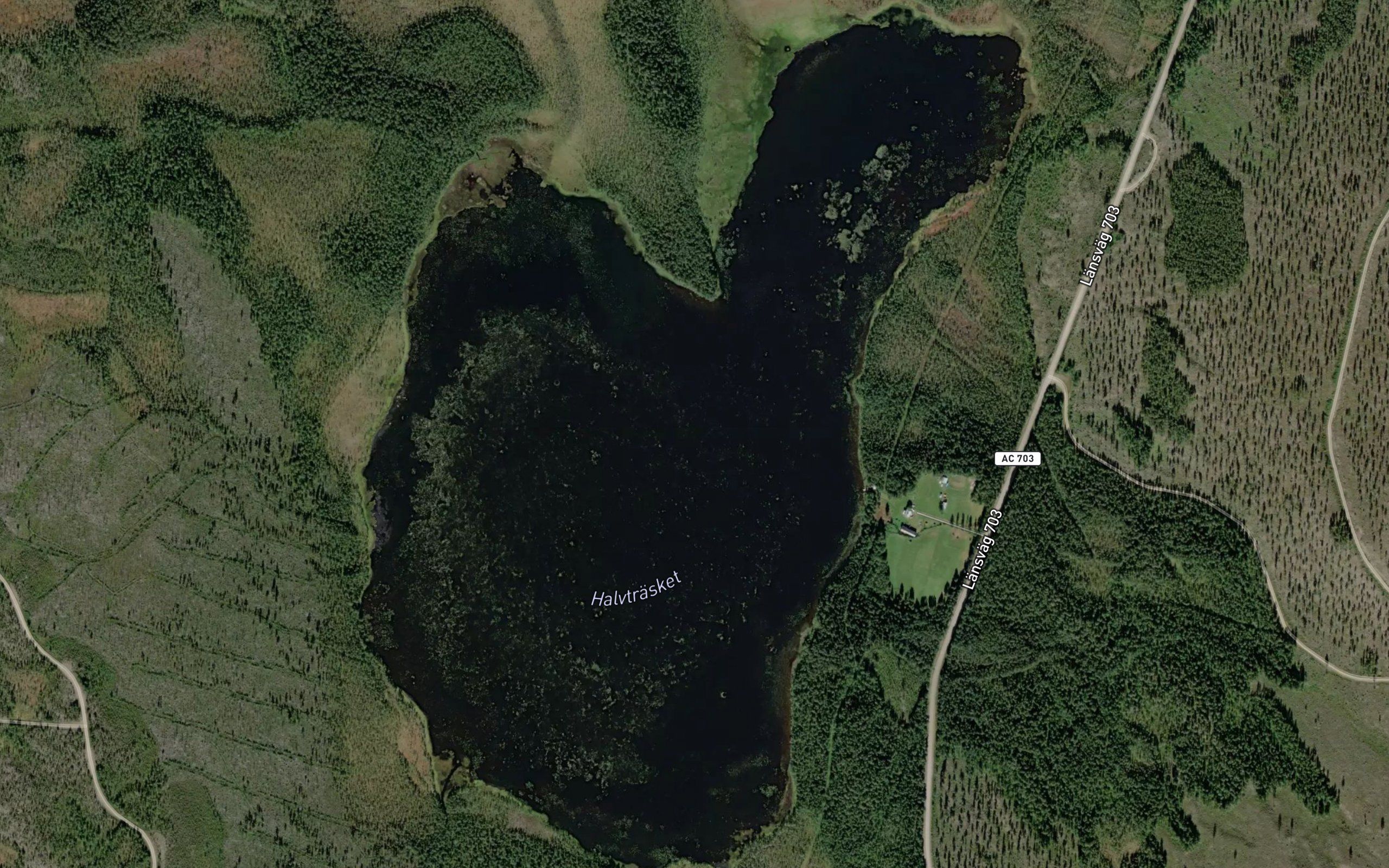 Halvtraesket