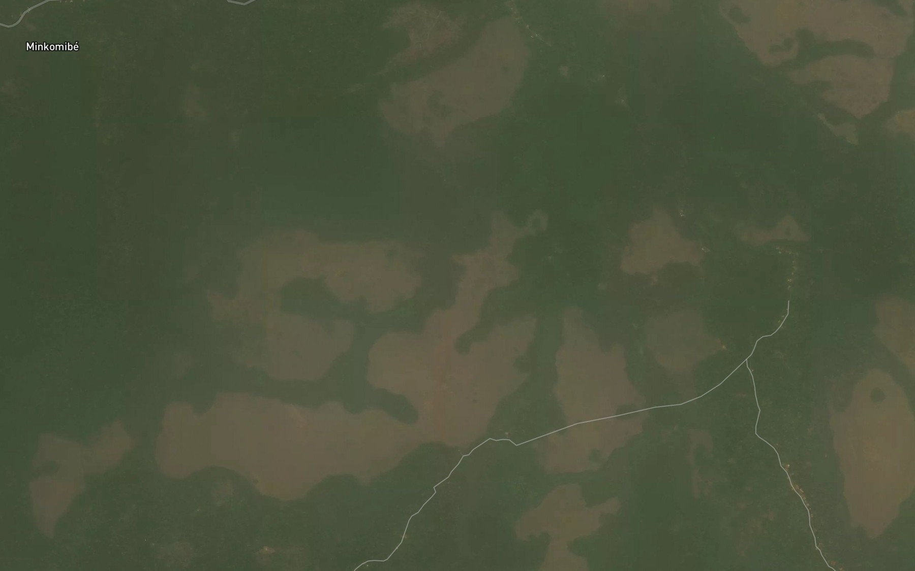 Satellite map of the Mfena