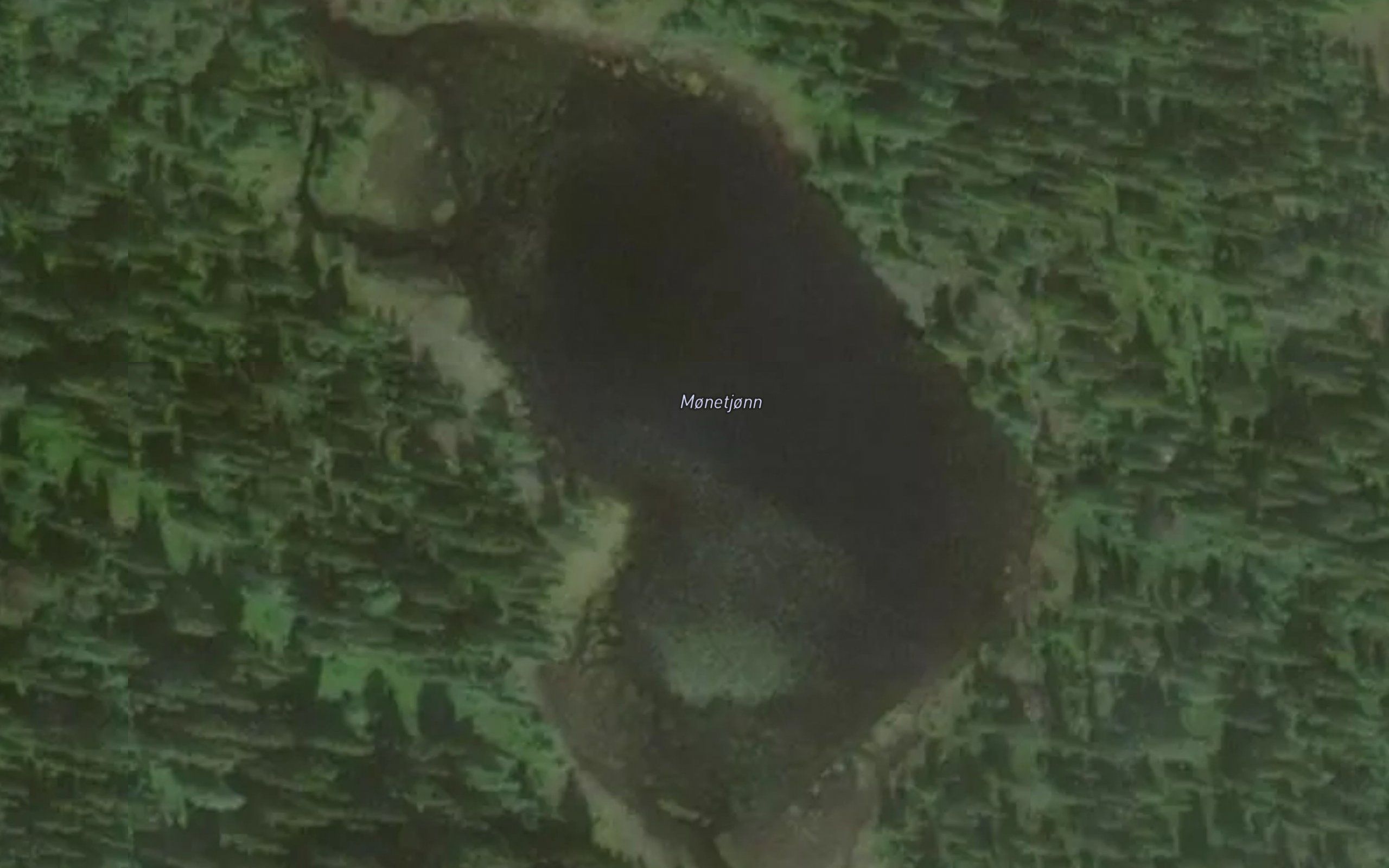 Monetjonn